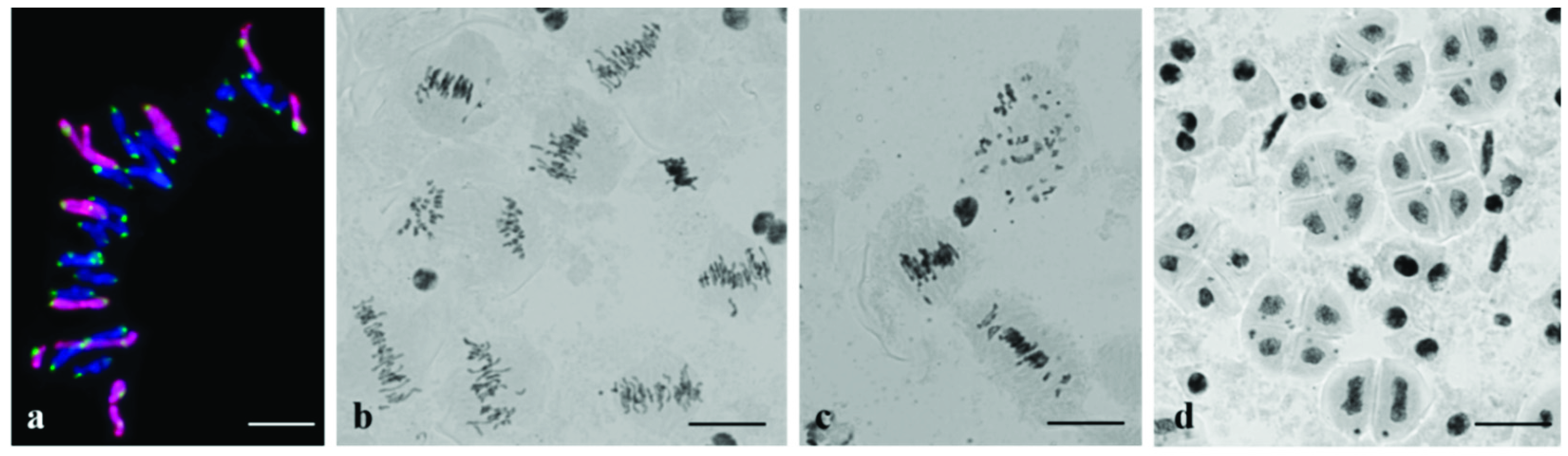 Plants 10 02052 g017