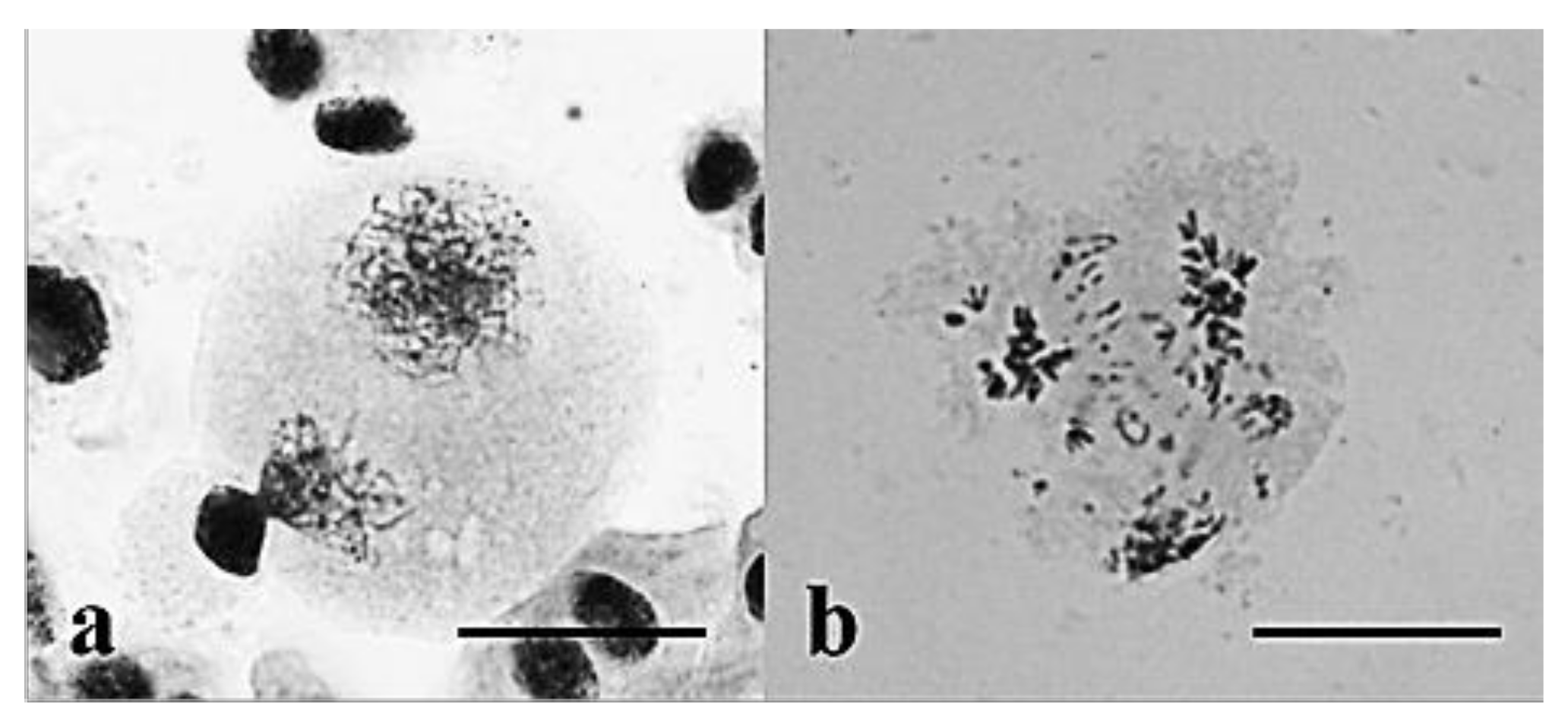 Plants 10 02052 g018