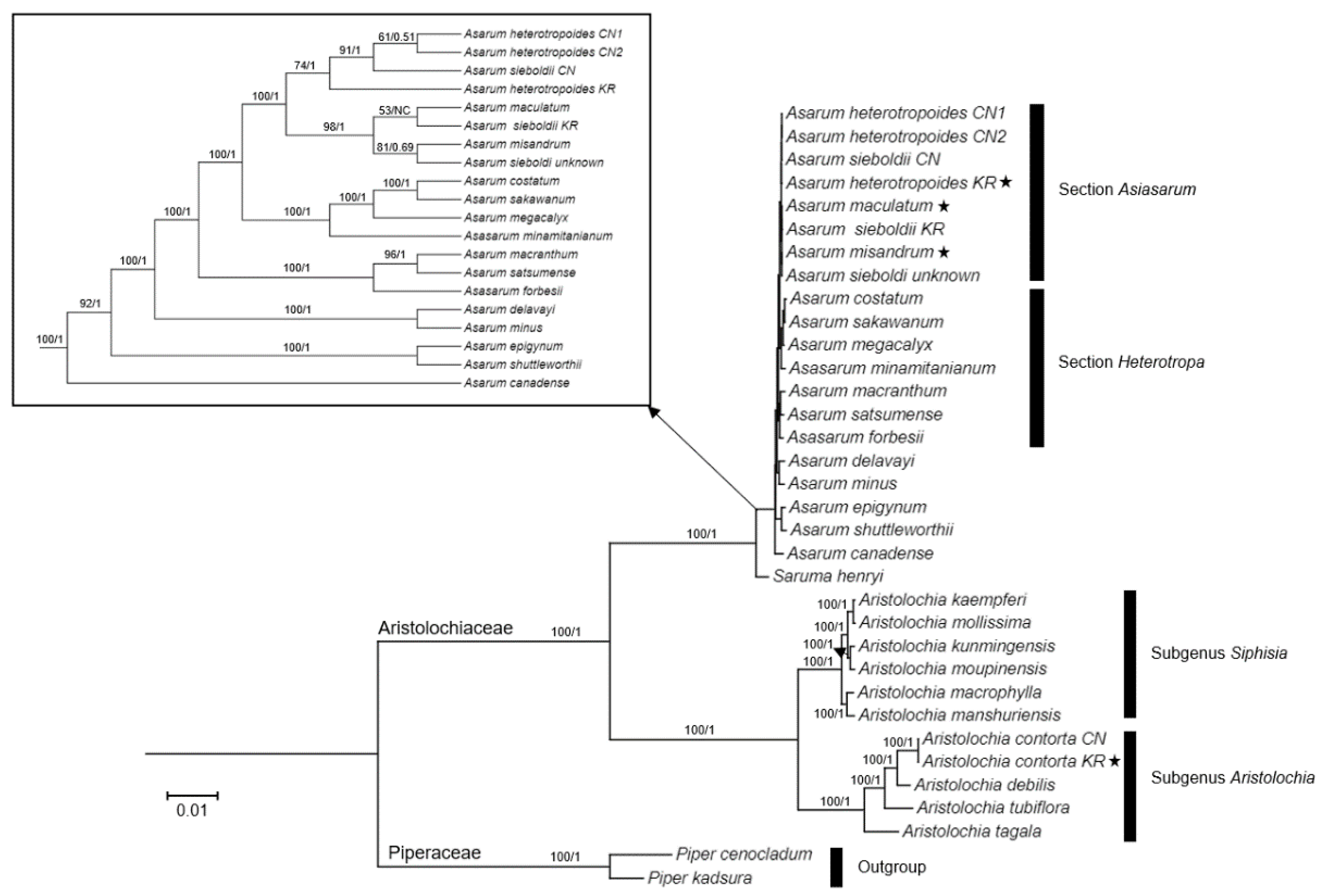 Plants 10 02056 g005