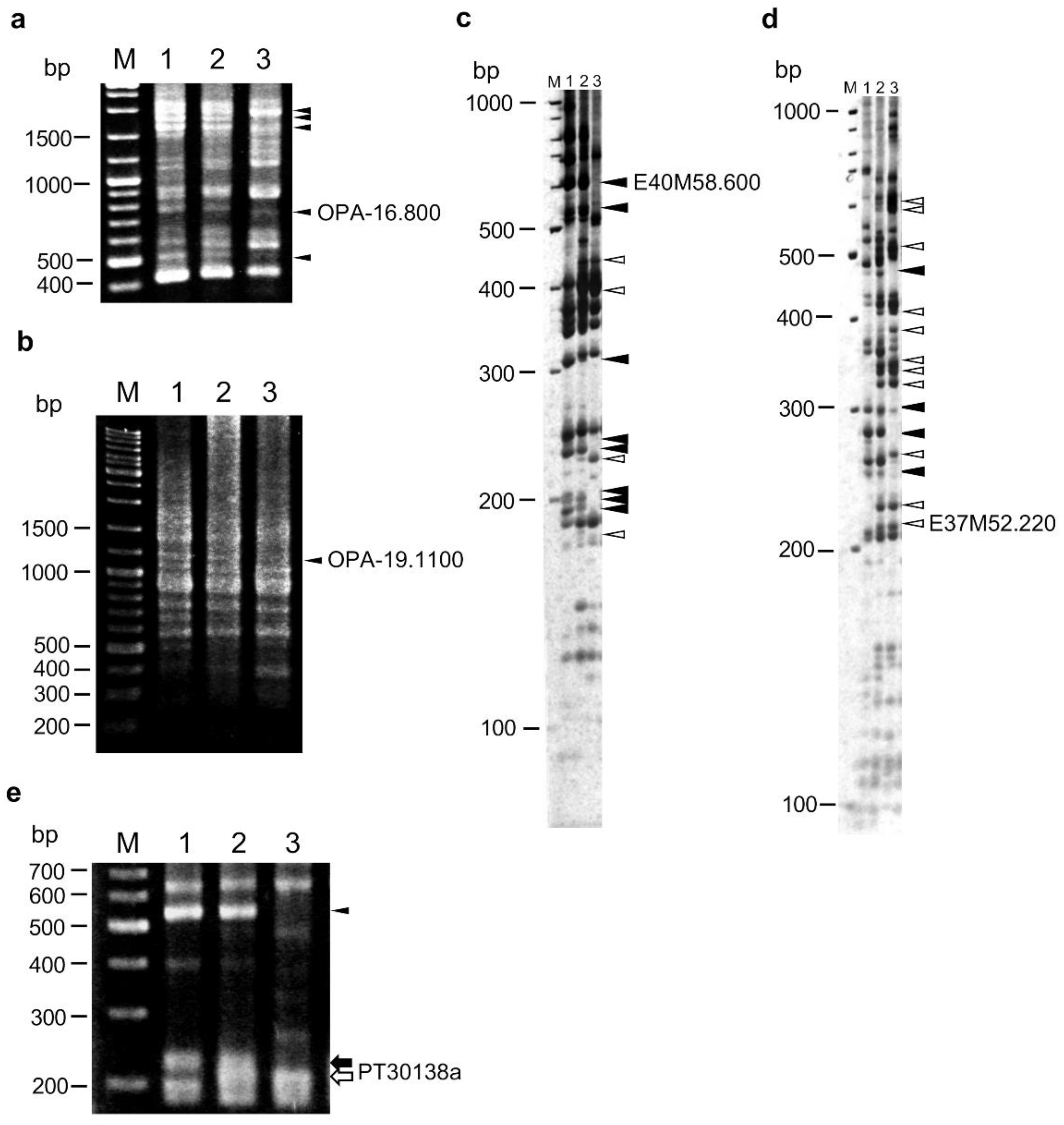 Plants 10 02062 g001