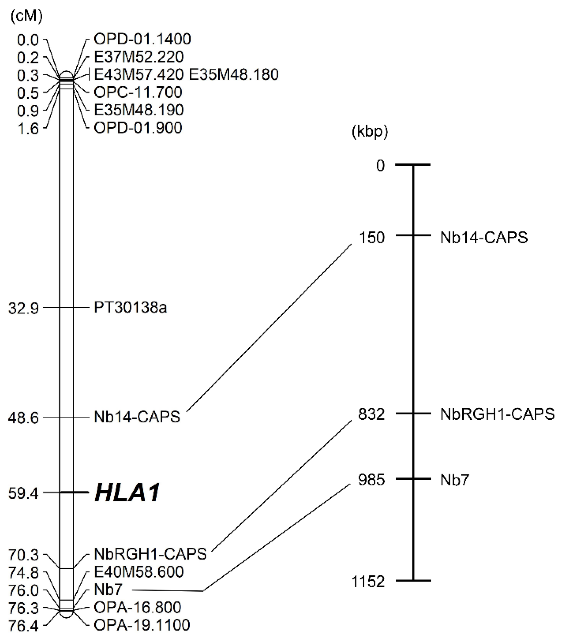 Plants 10 02062 g003