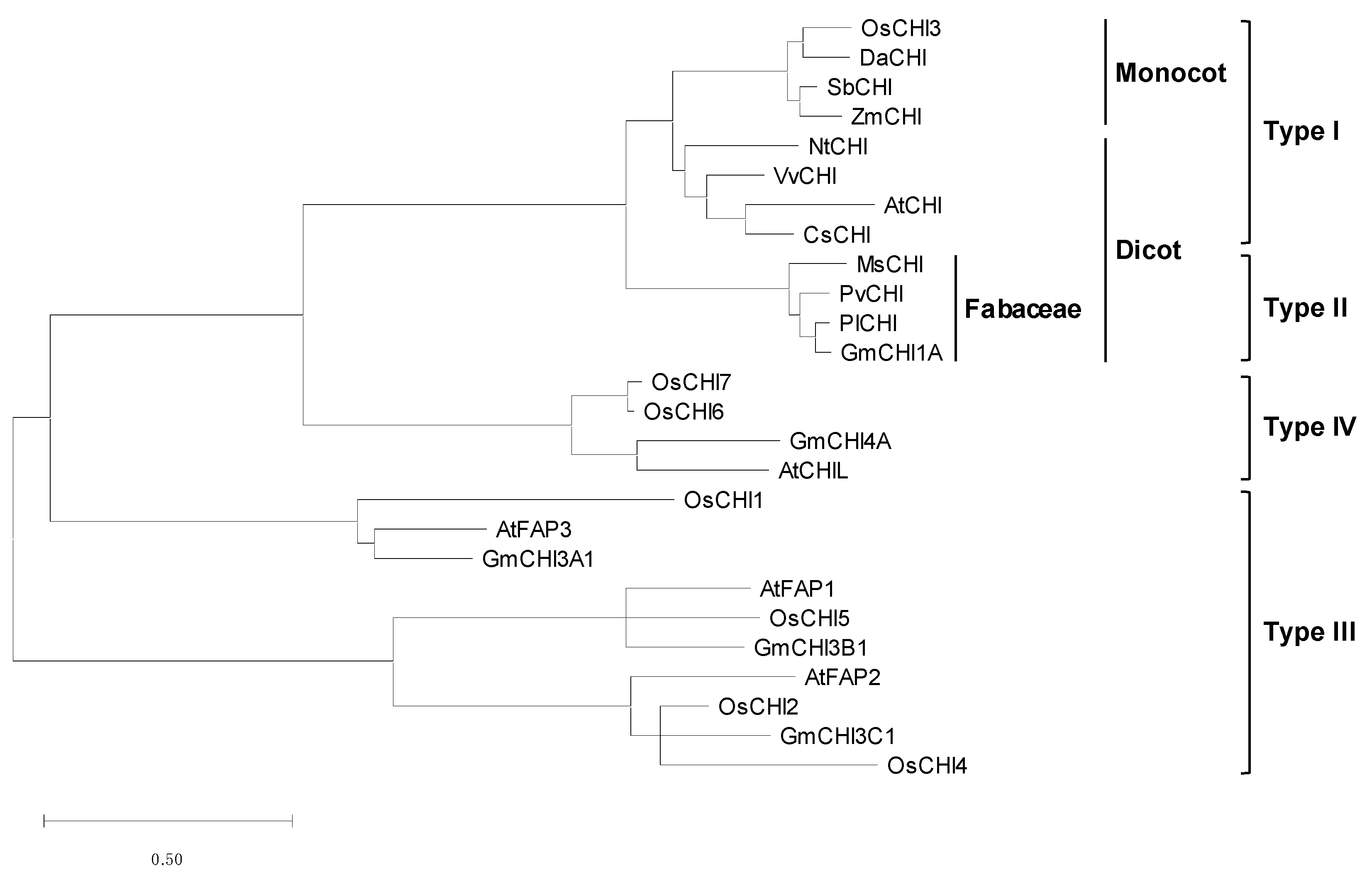 Plants 10 02064 g001 550