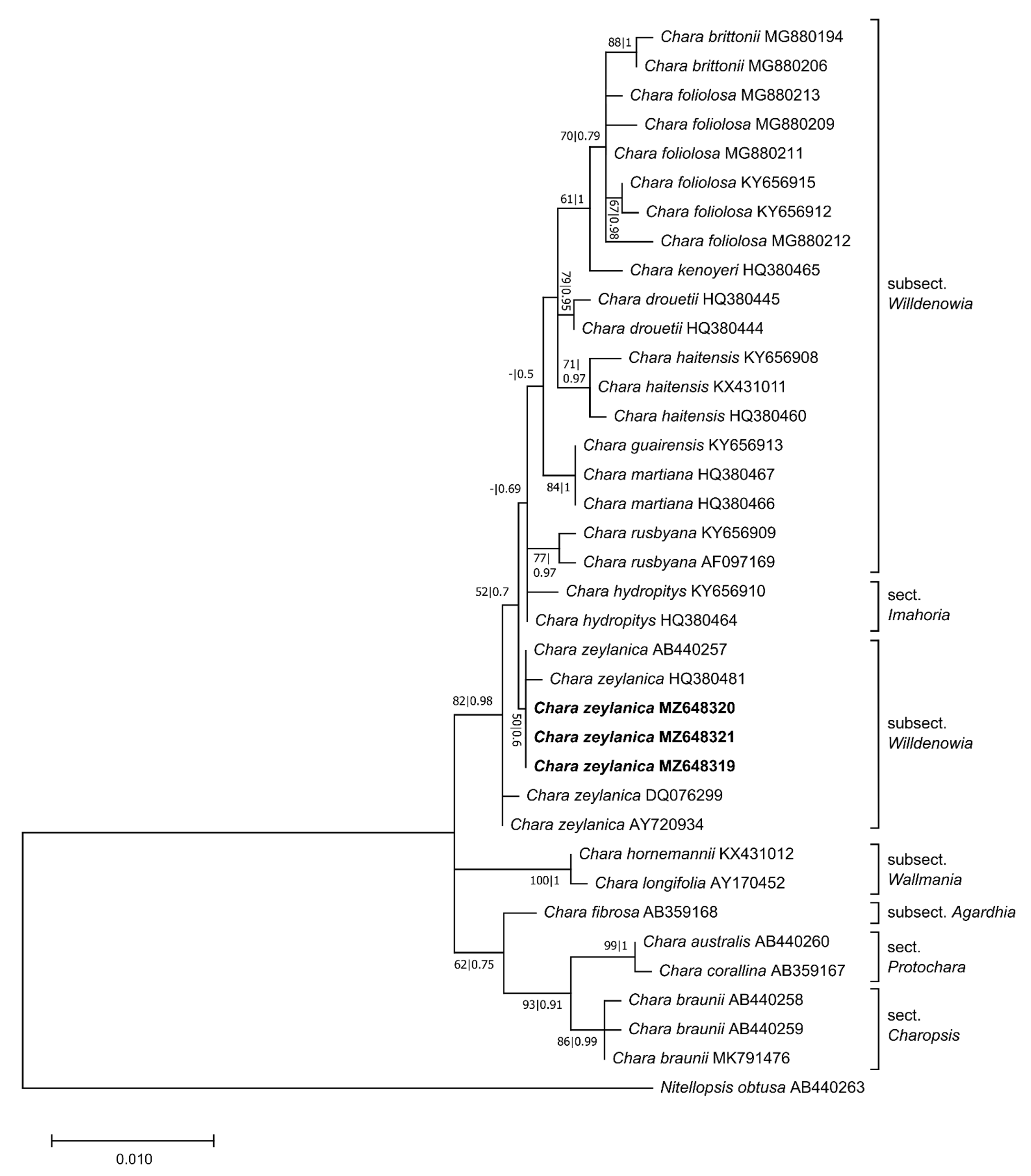 Plants 10 02069 g003 Plants 10 02069 g003