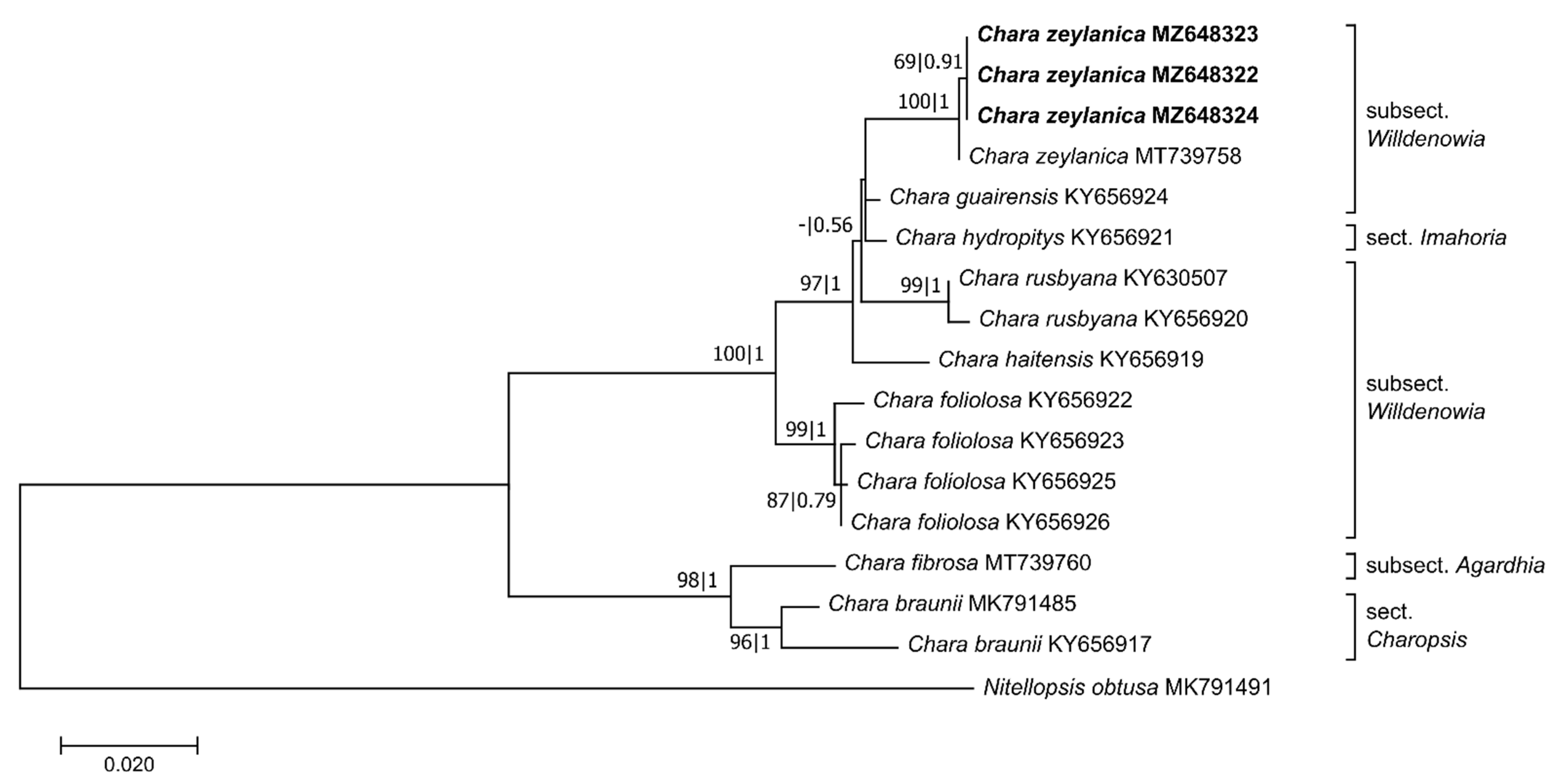 Plants 10 02069 g004 Plants 10 02069 g004