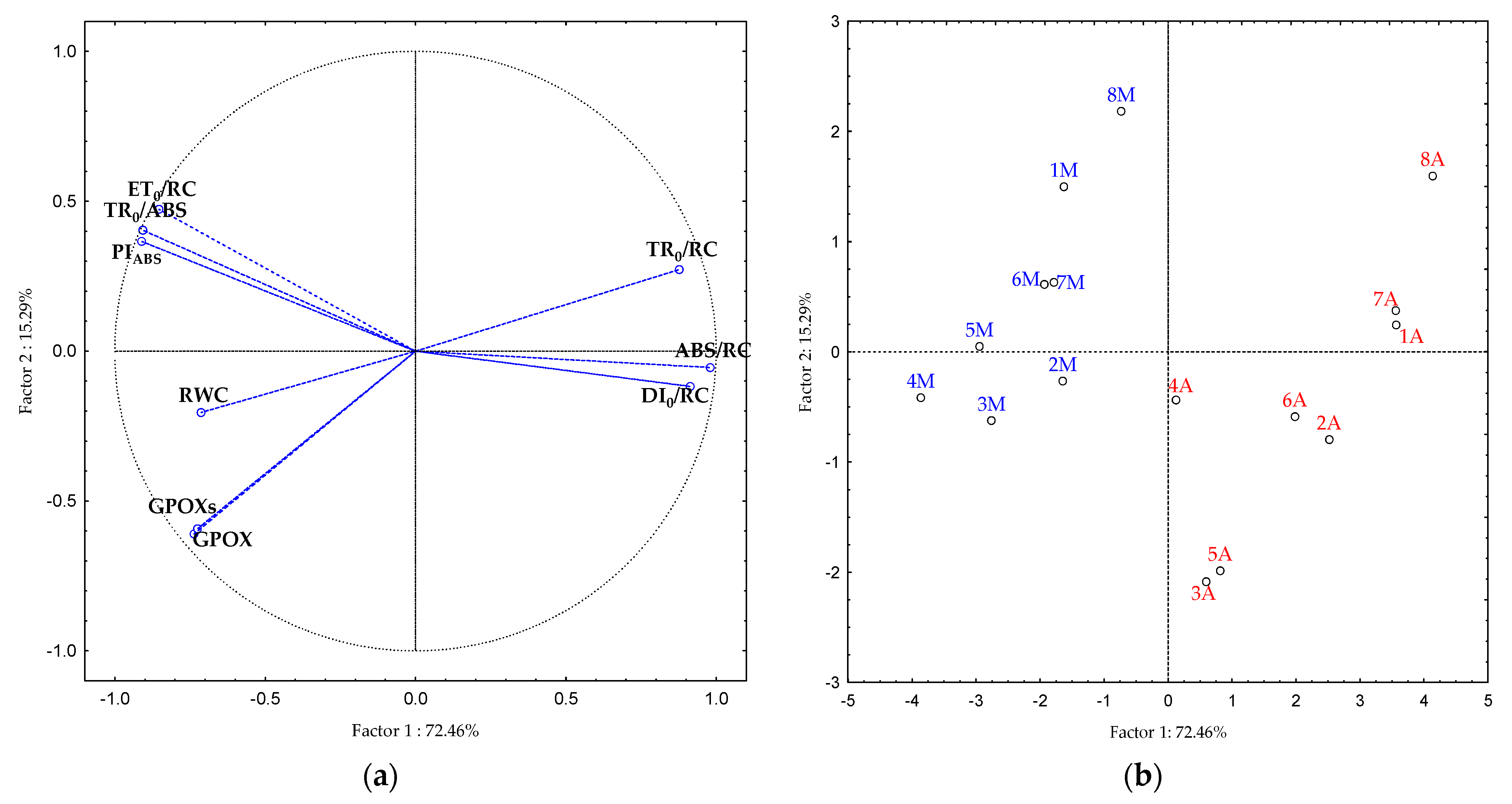 Plants 10 02076 g004