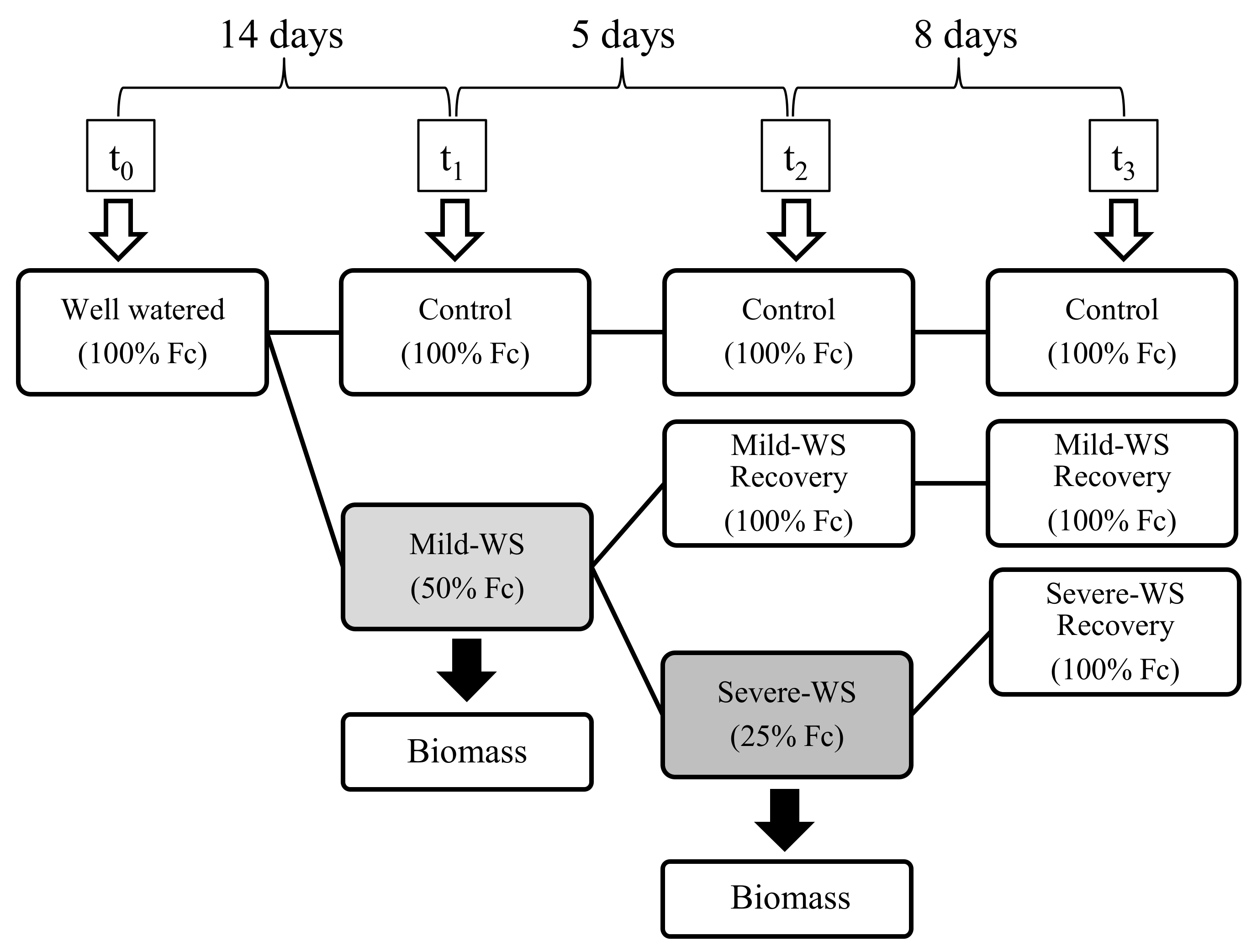Plants 10 02077 g001