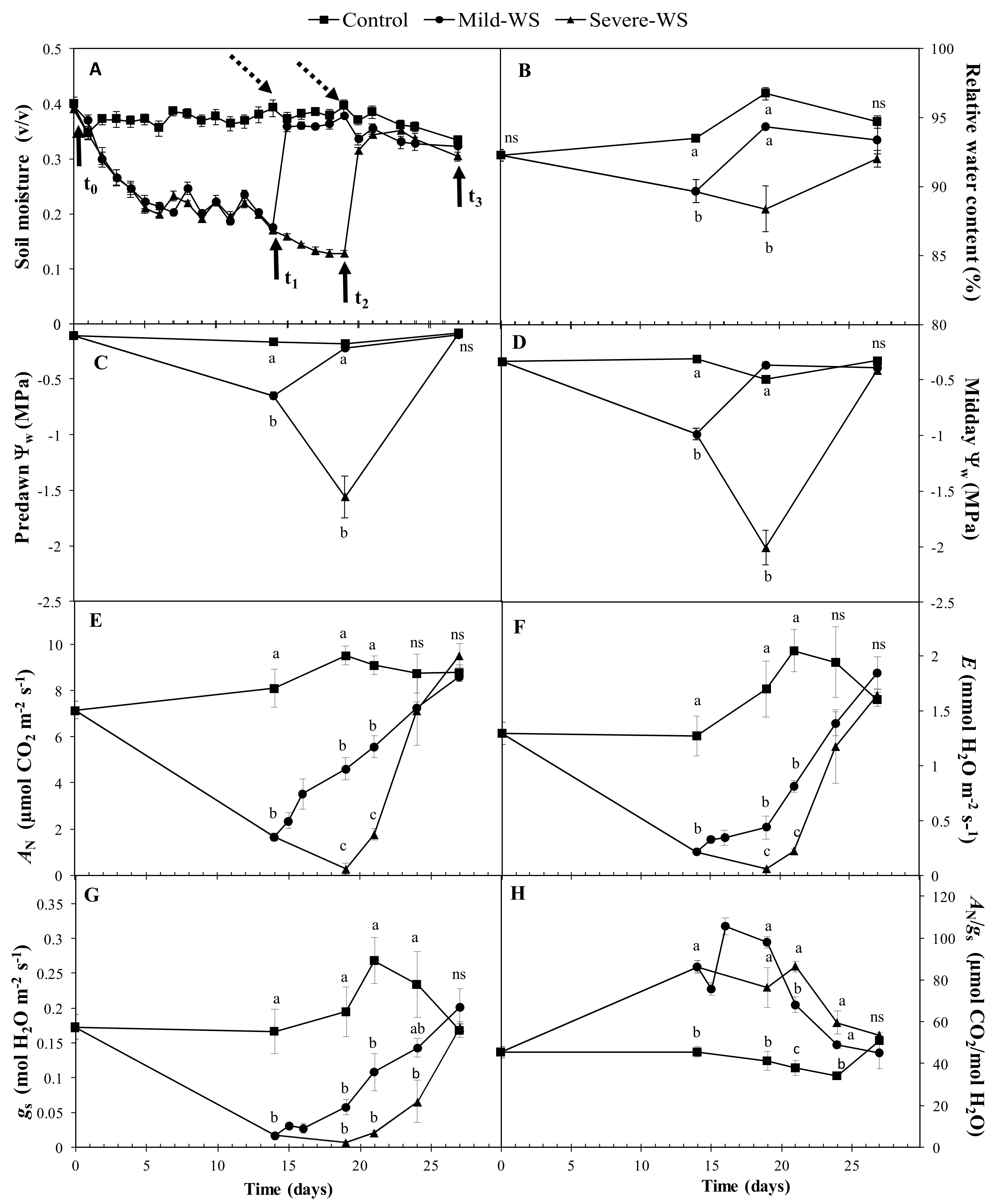 Plants 10 02077 g002