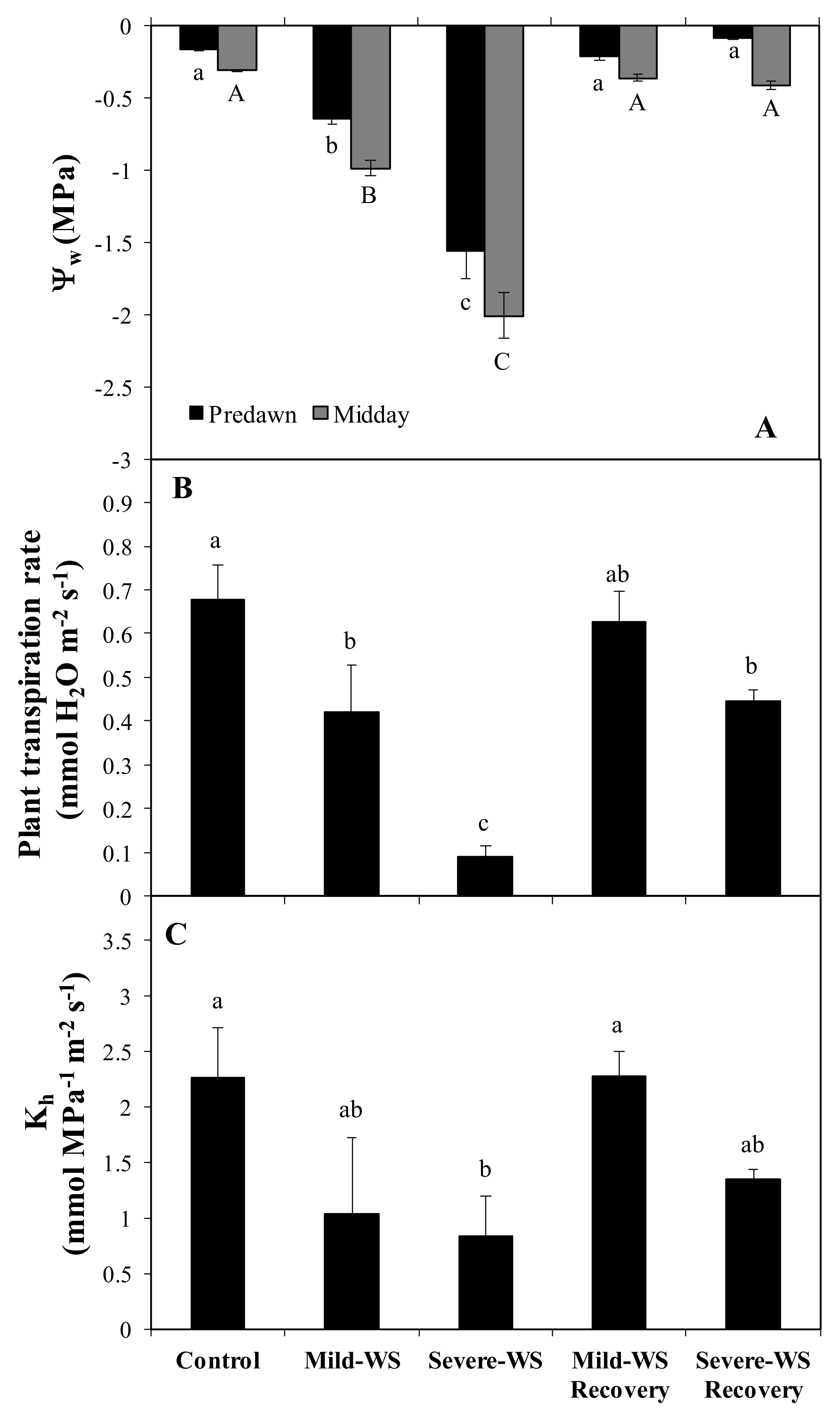 Plants 10 02077 g003