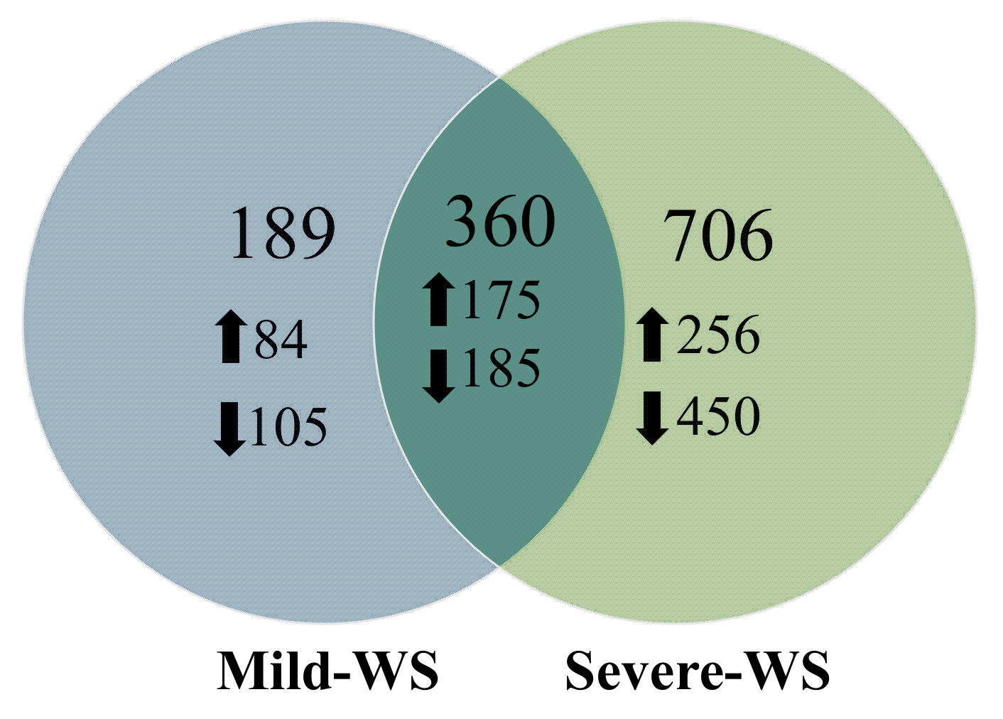 Plants 10 02077 g004
