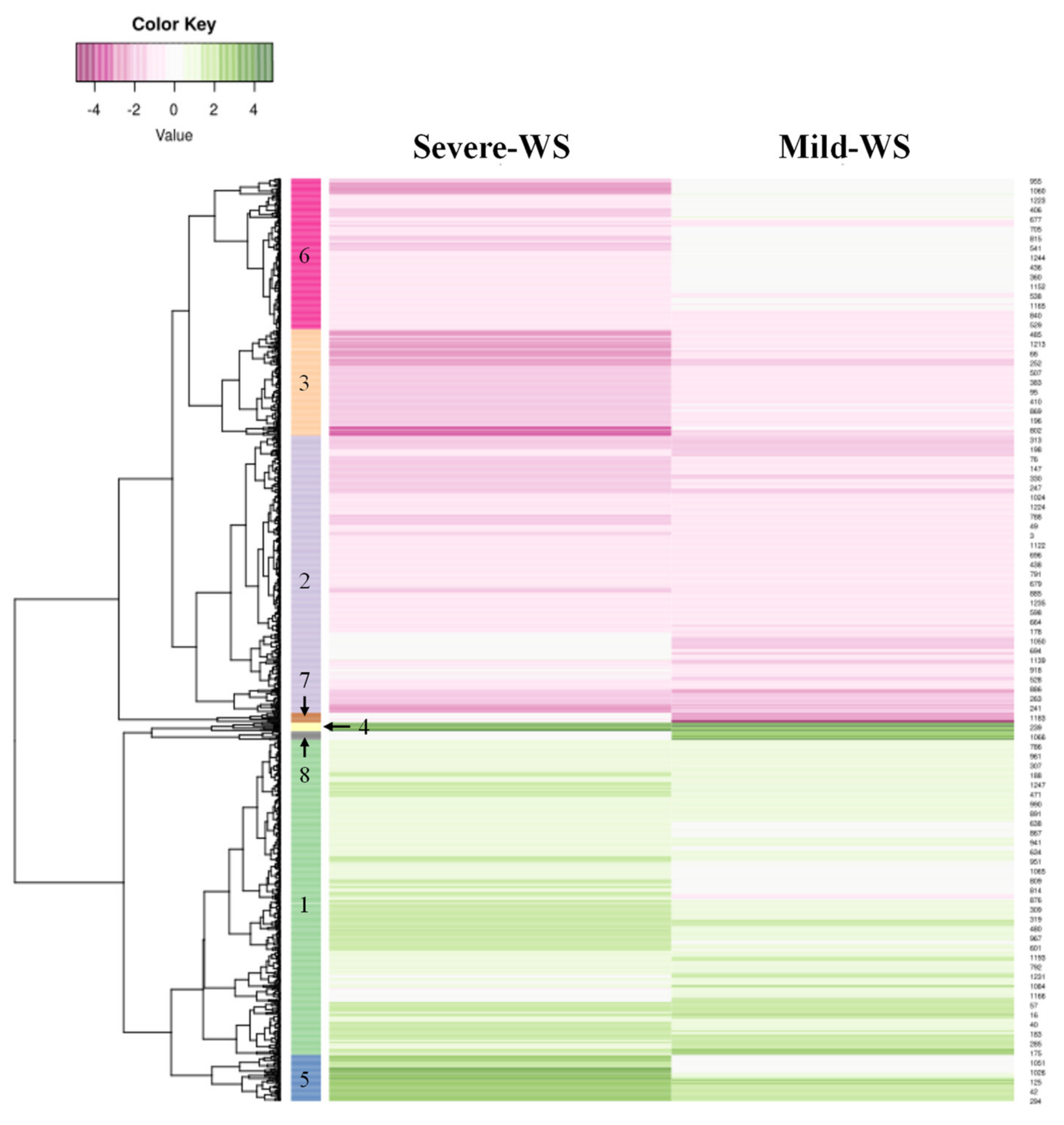 Plants 10 02077 g006