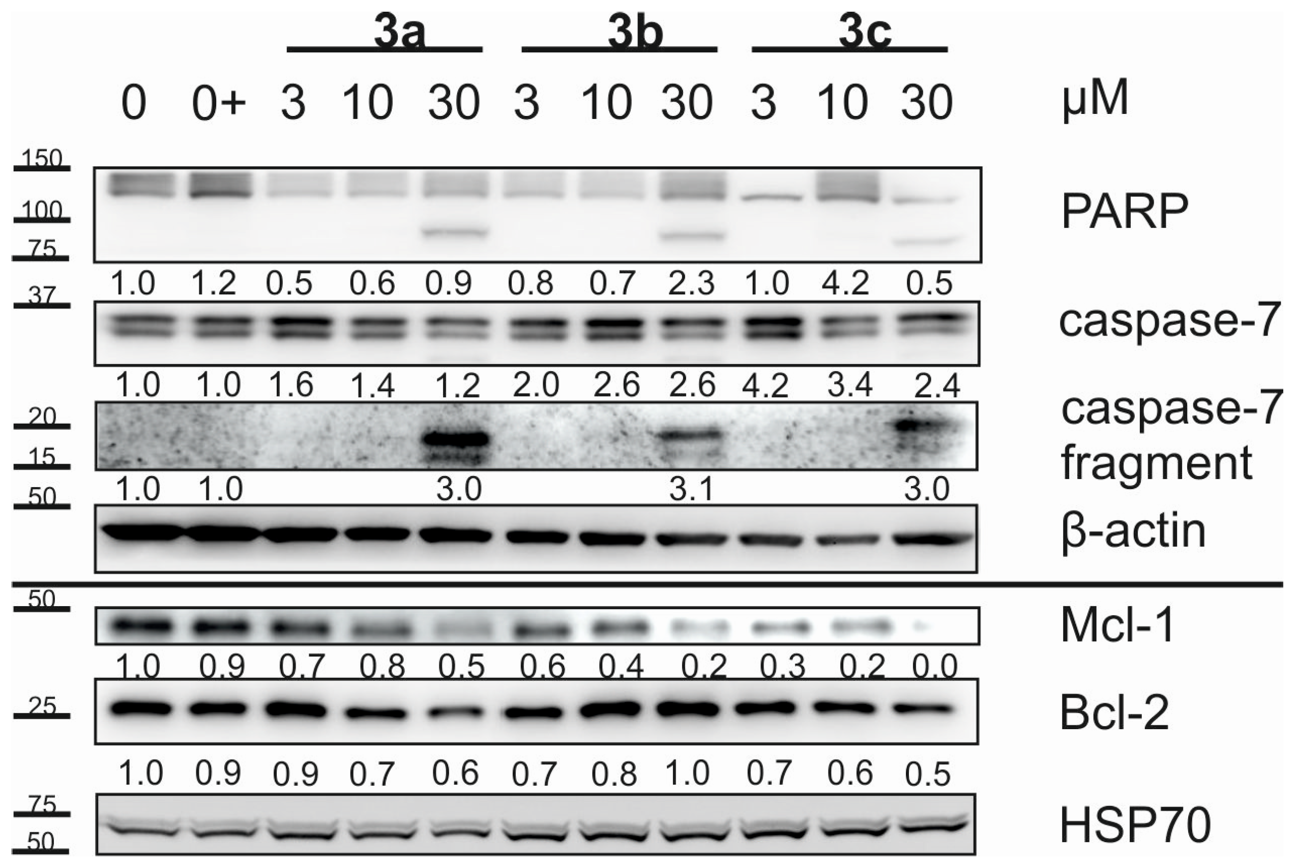Plants 10 02082 g002
