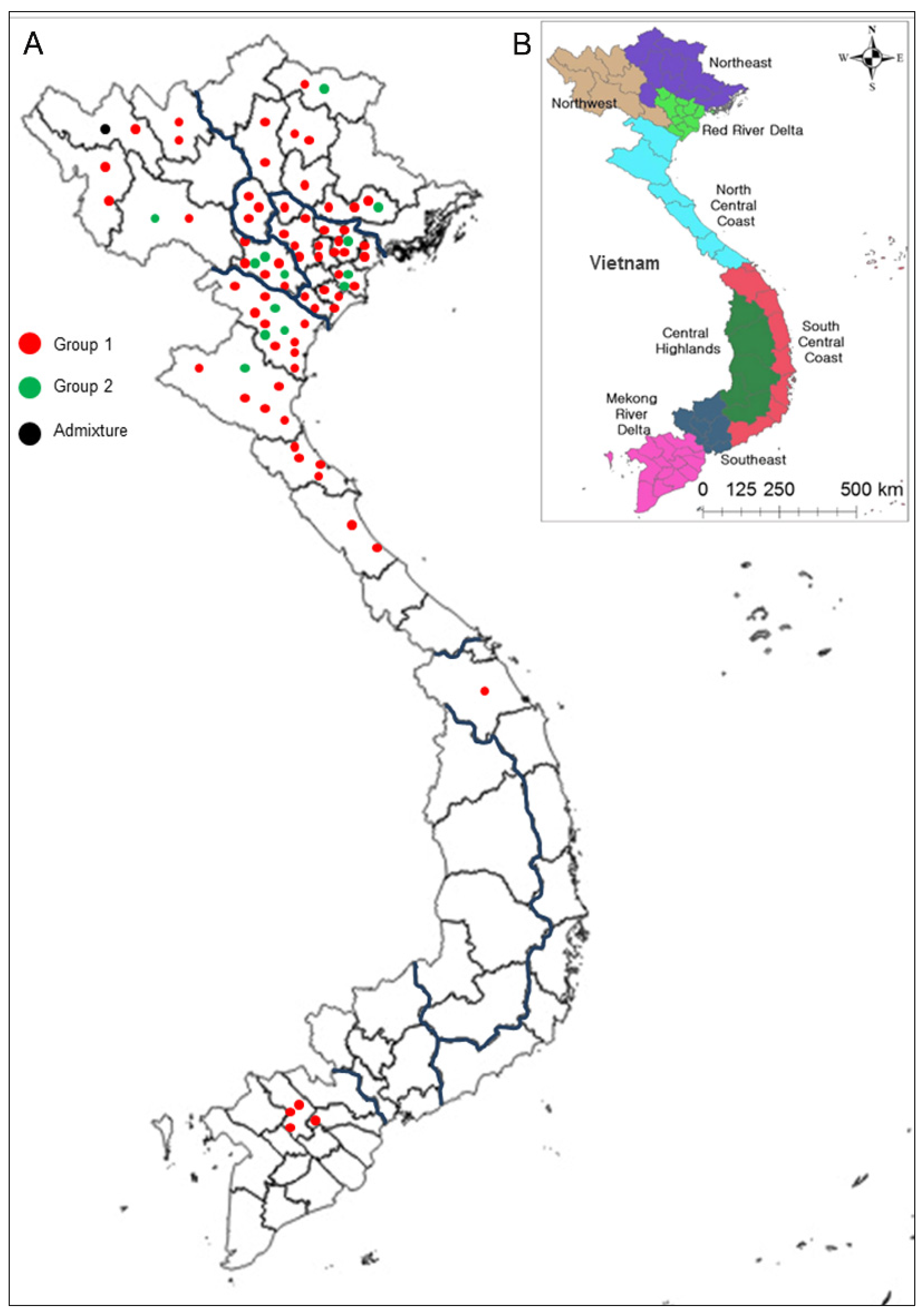 Plants 10 02094 g001