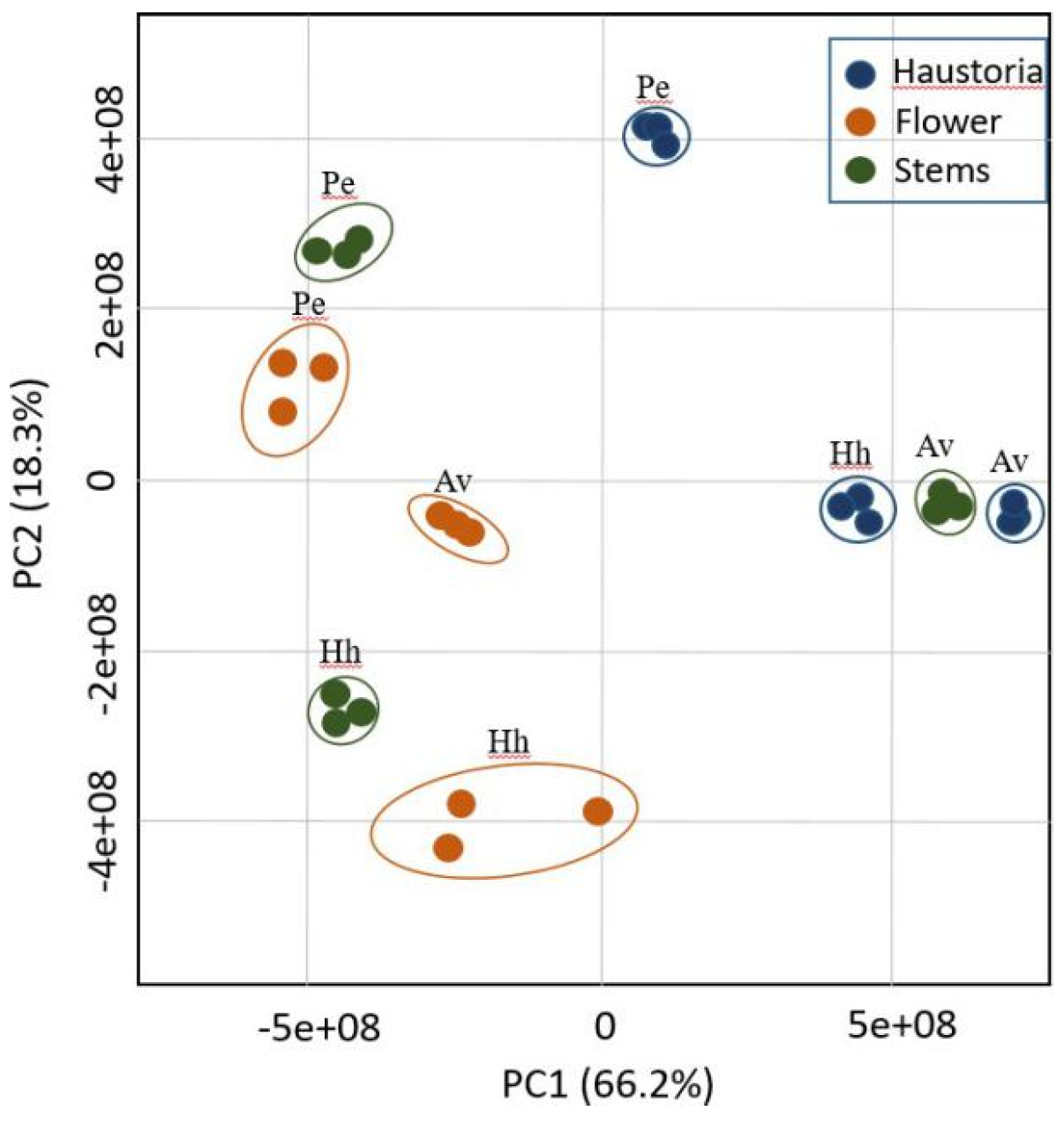 Plants 10 02098 g002