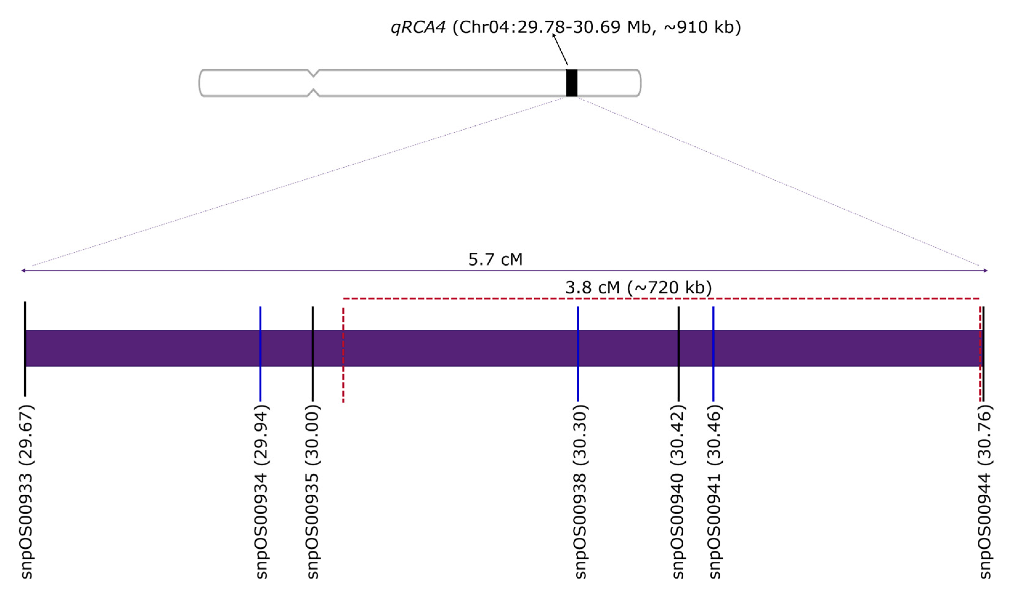 Plants 10 02099 g001