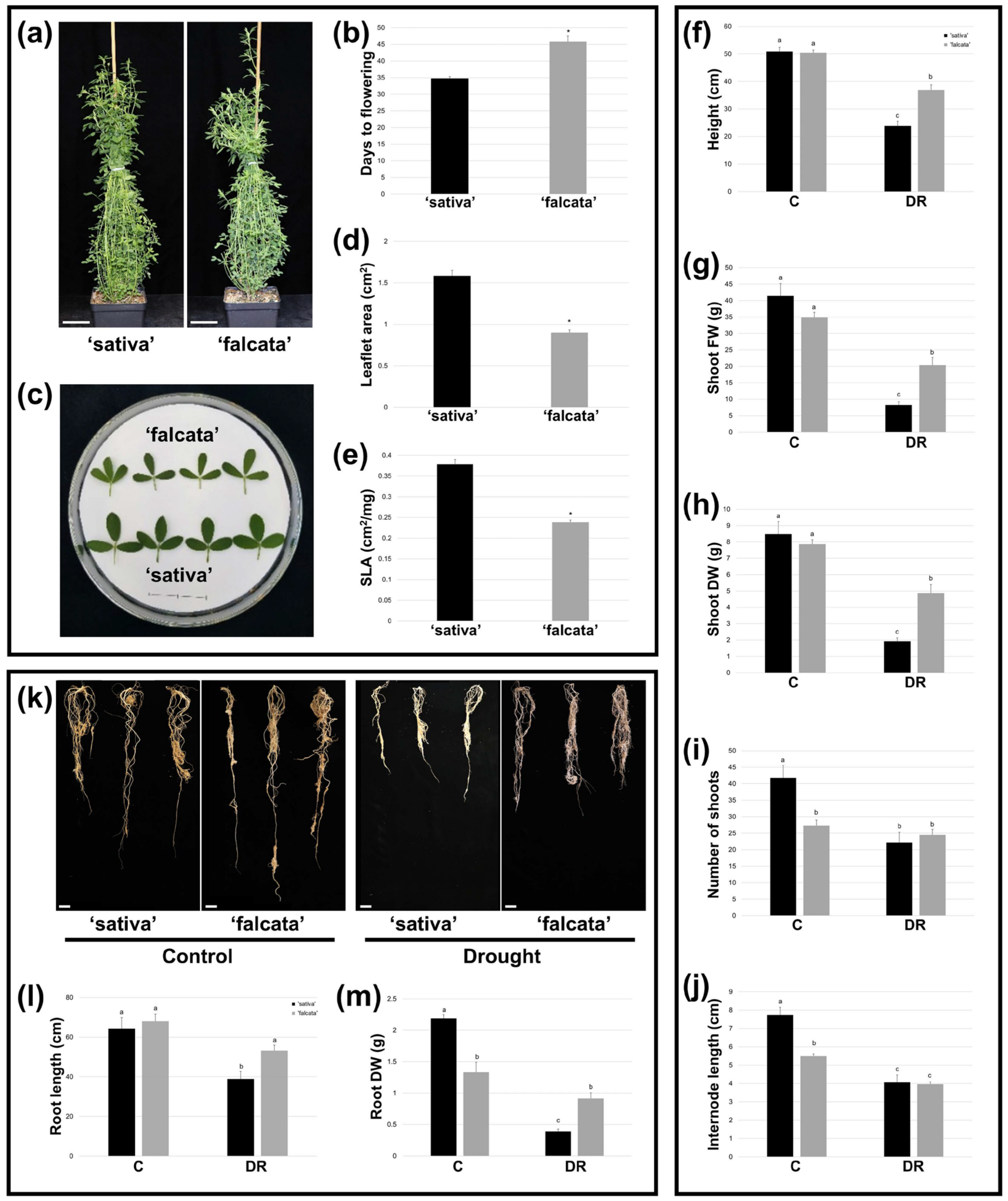 Plants 10 02107 g002 550