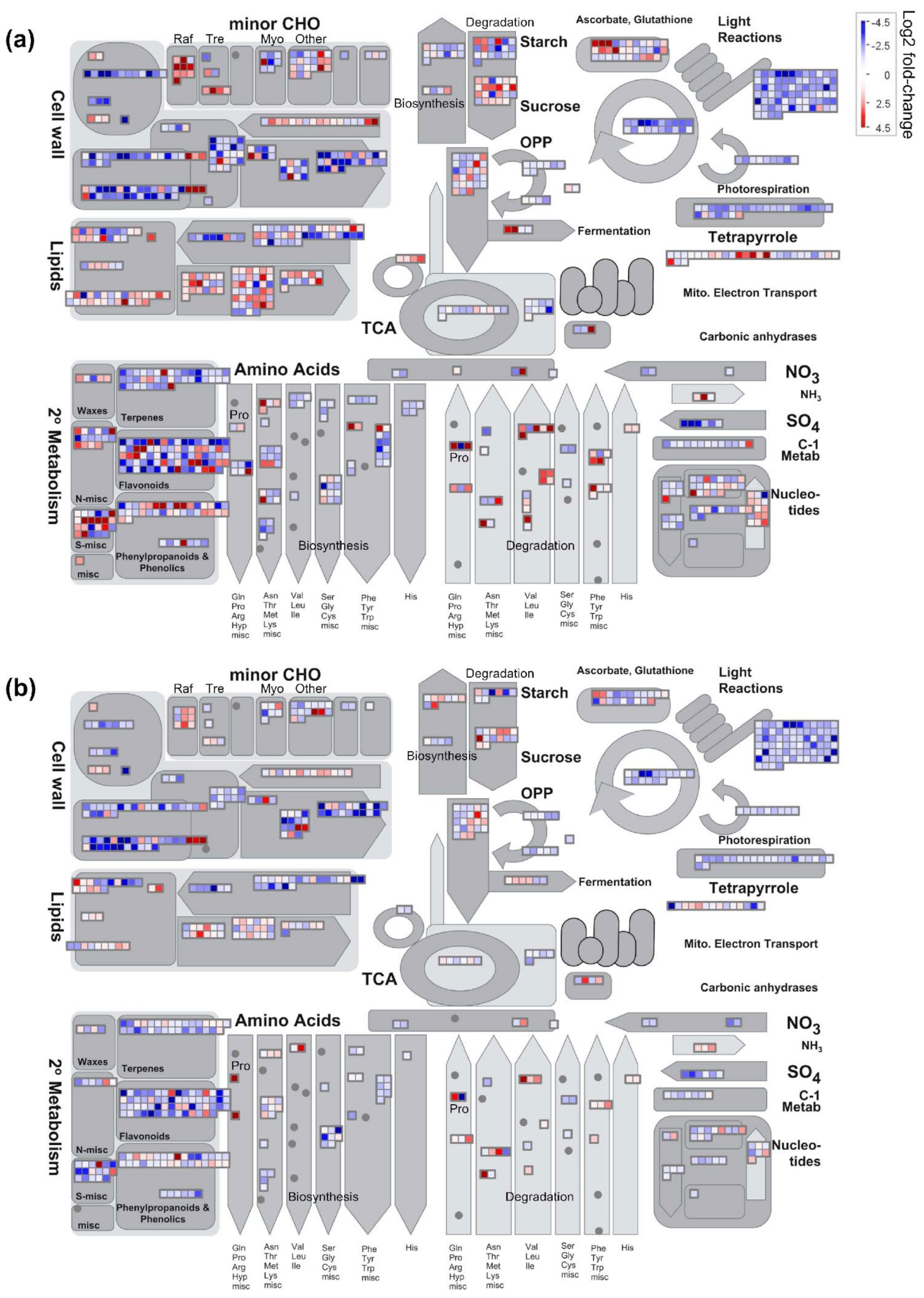 Plants 10 02107 g004 550