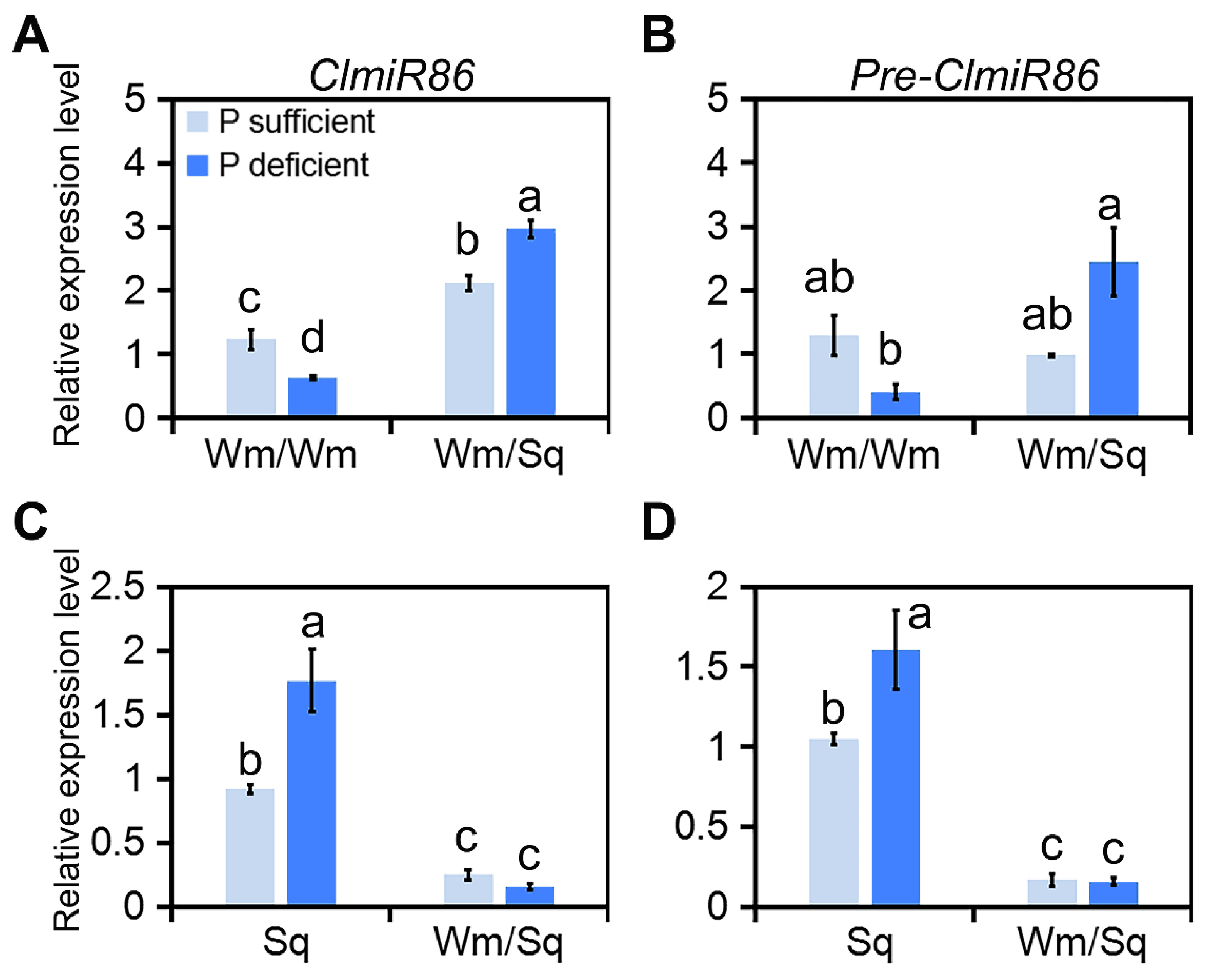 Plants 10 02133 g001