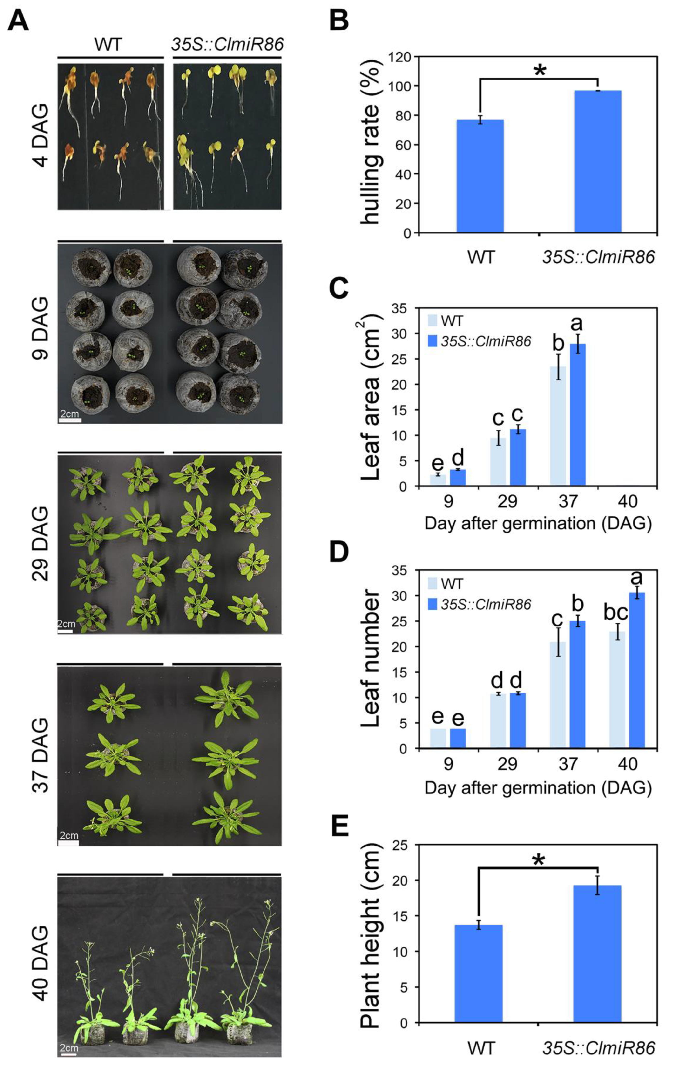 Plants 10 02133 g007