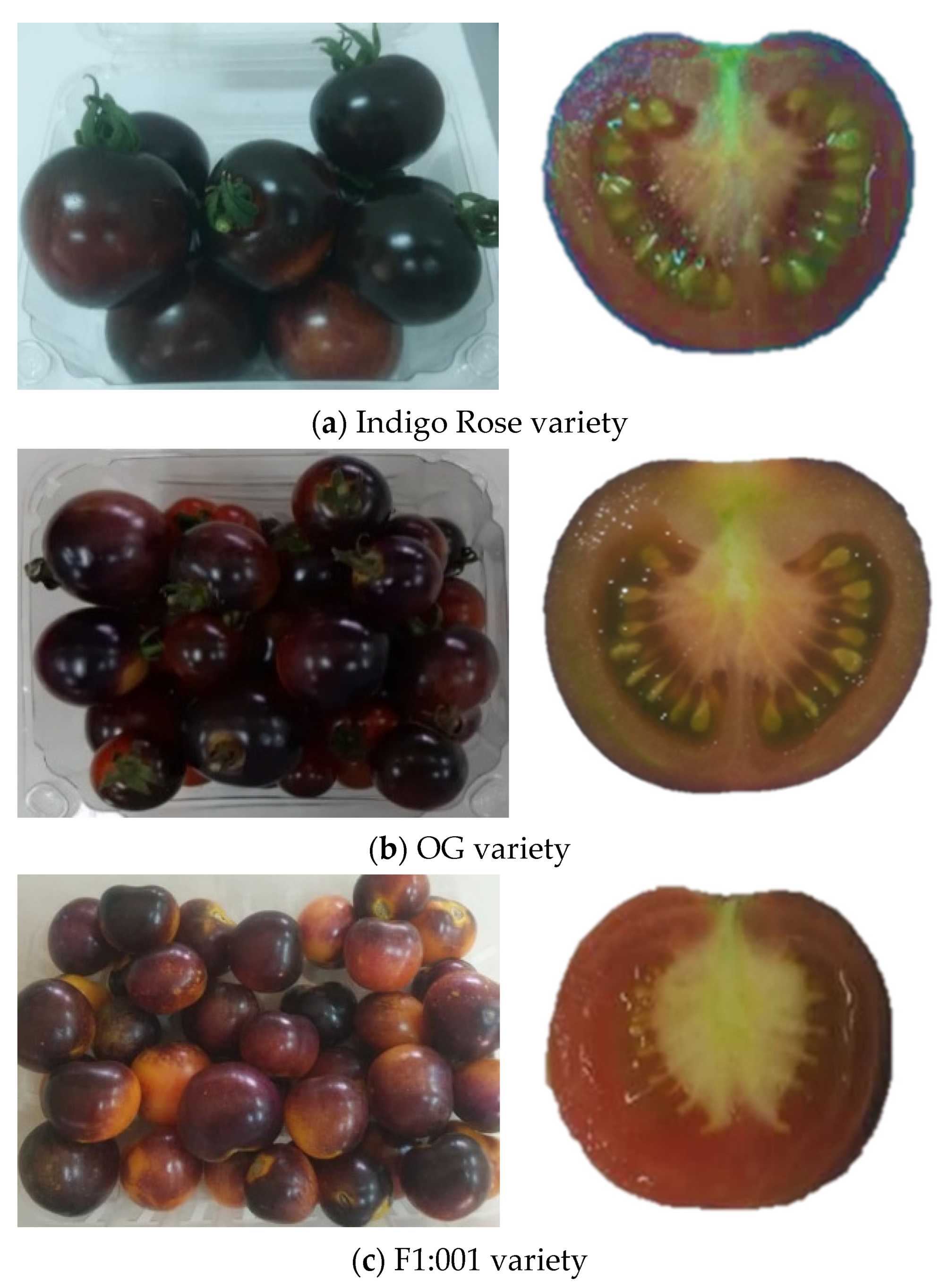 Plants 10 02134 g001