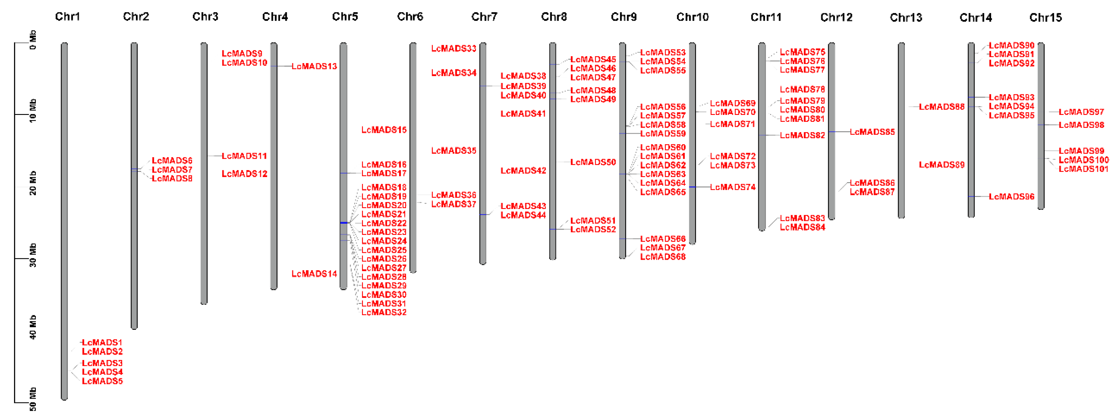 Plants 10 02142 g001