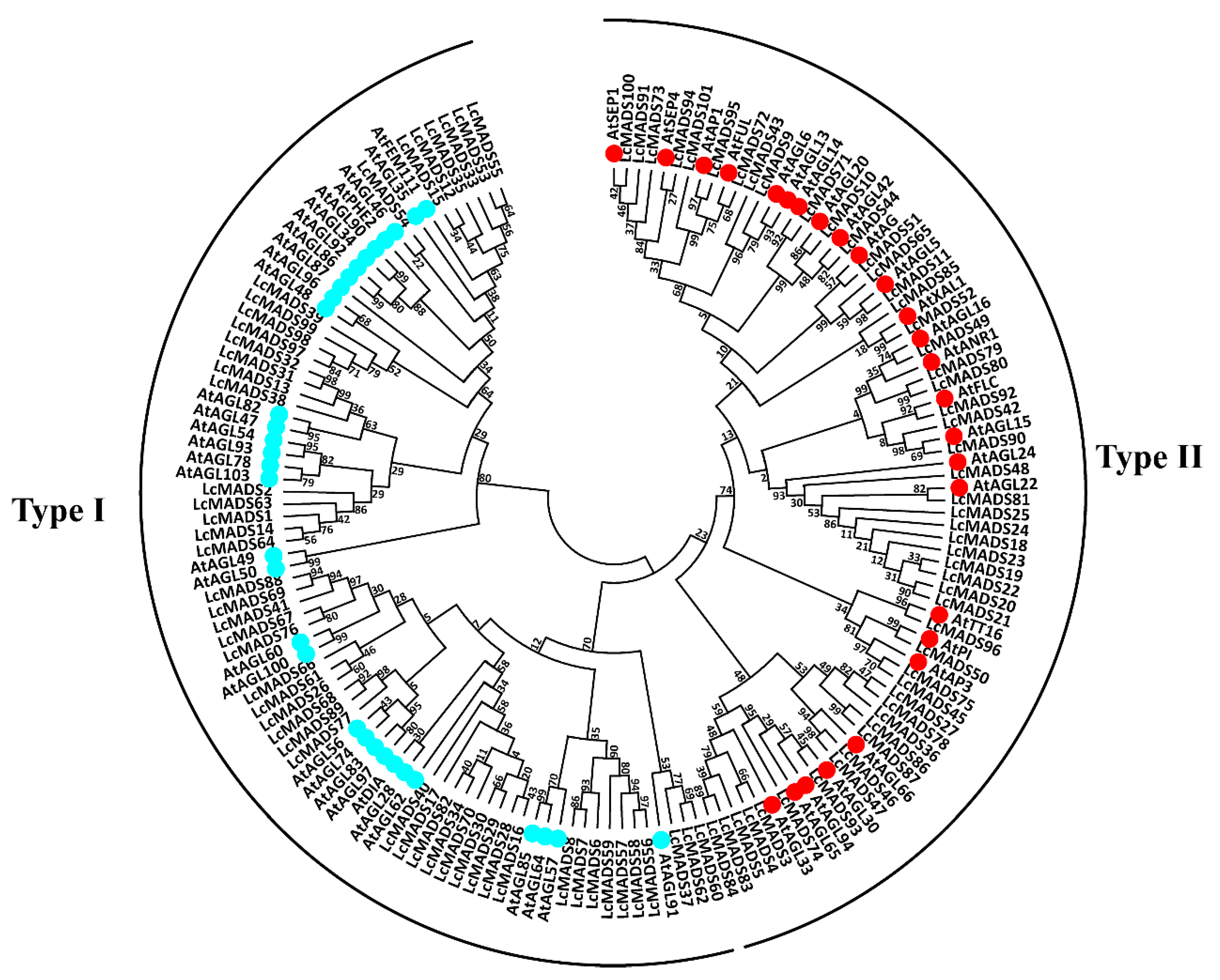Plants 10 02142 g002