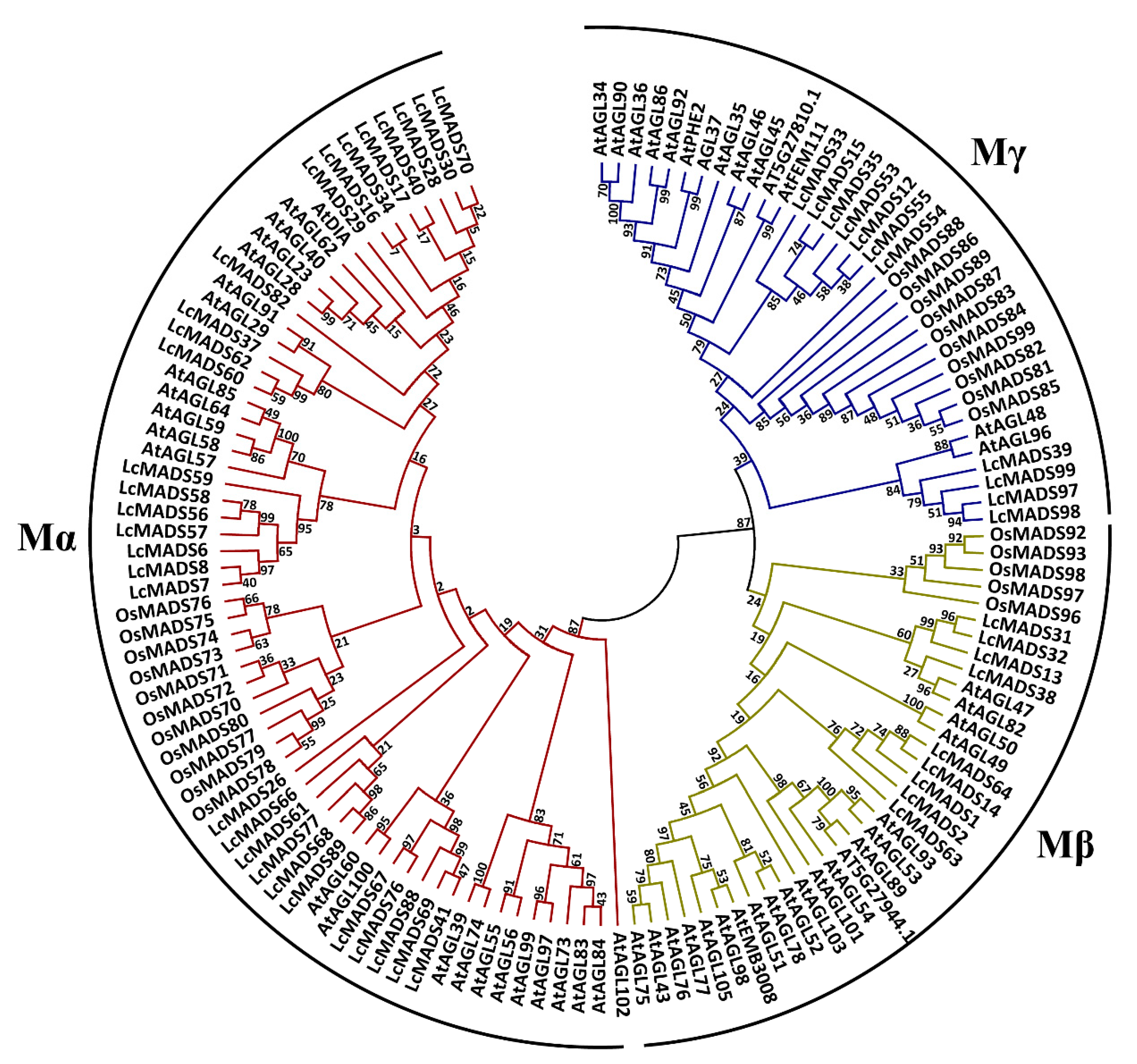 Plants 10 02142 g003a