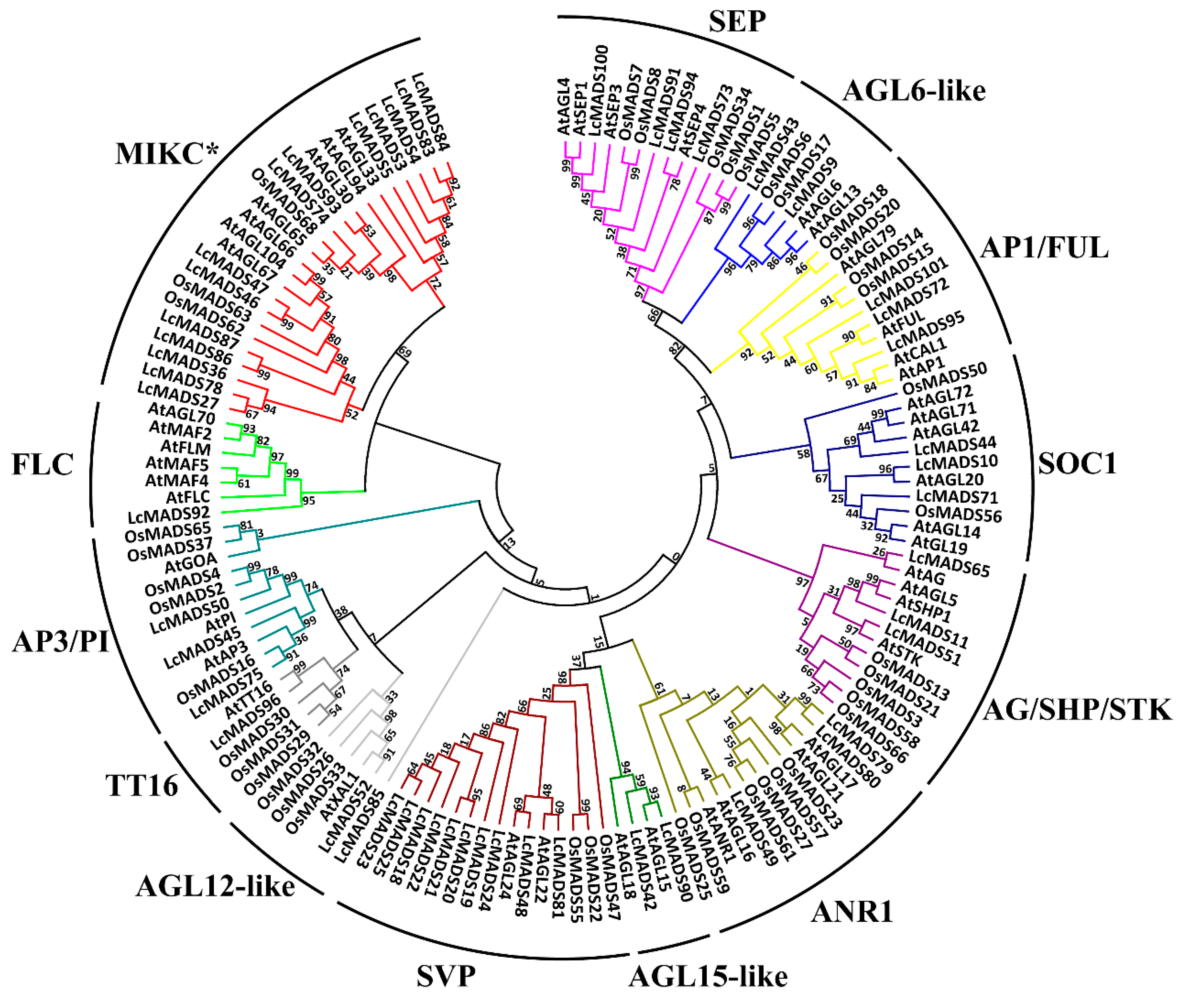 Plants 10 02142 g003b