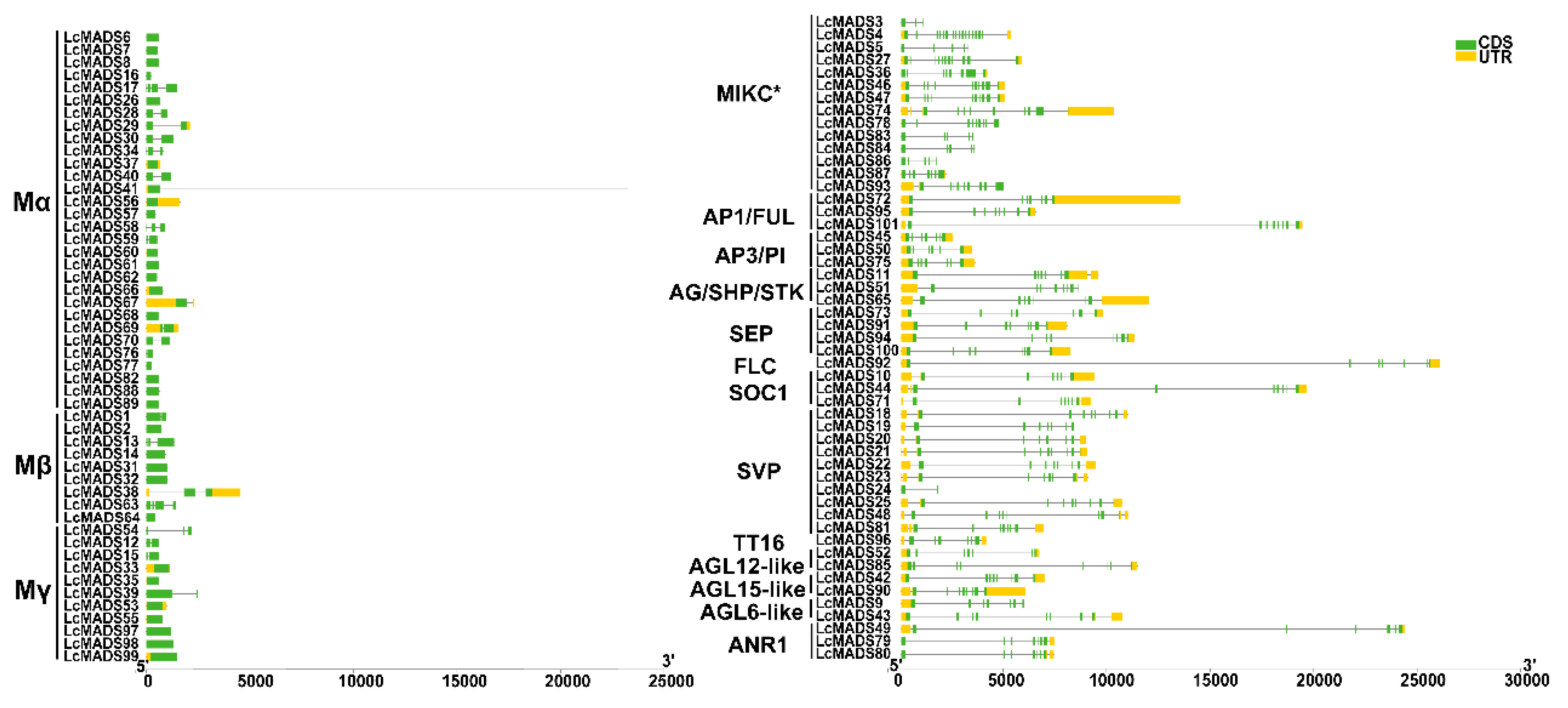 Plants 10 02142 g004