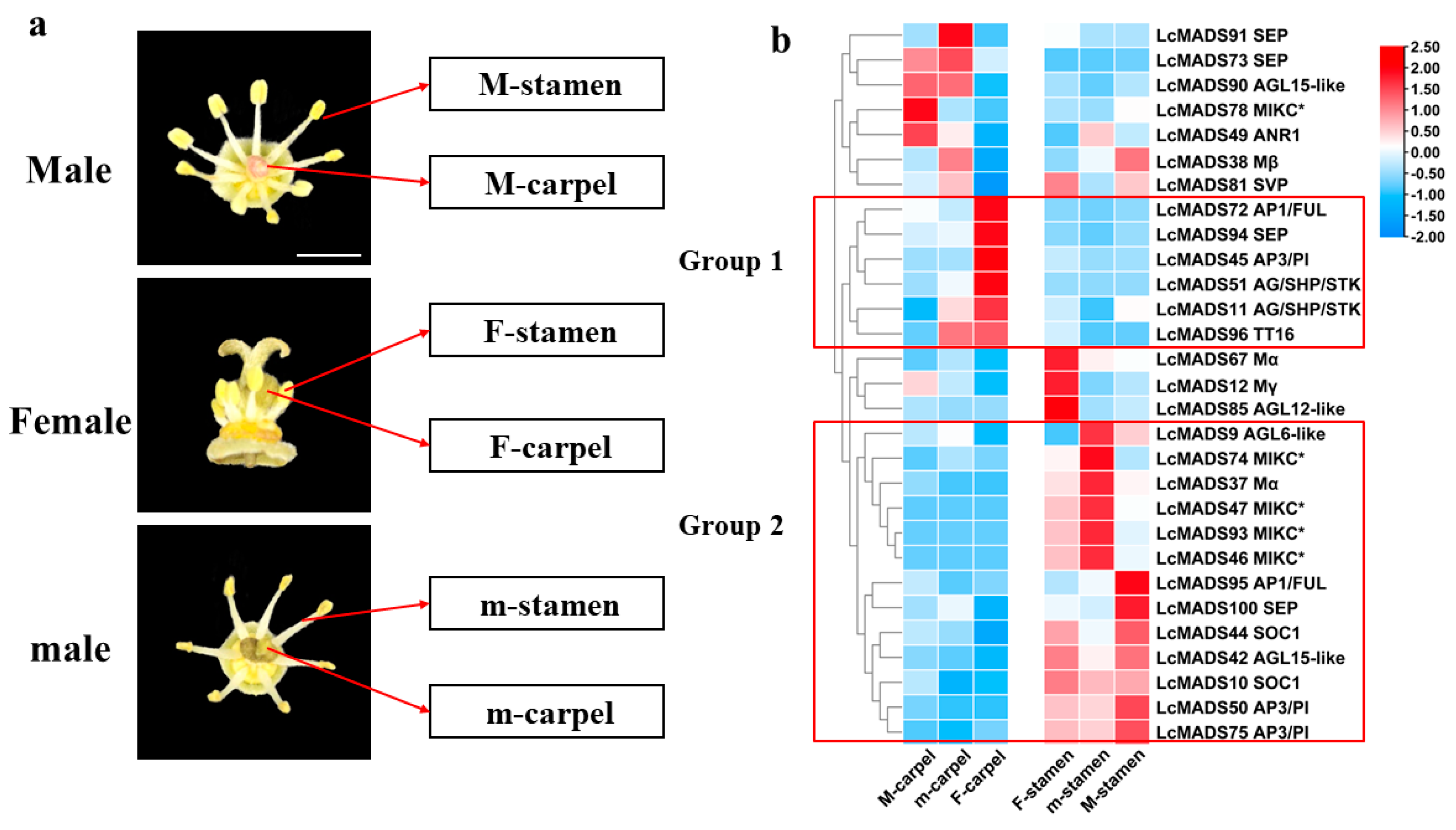Plants 10 02142 g006
