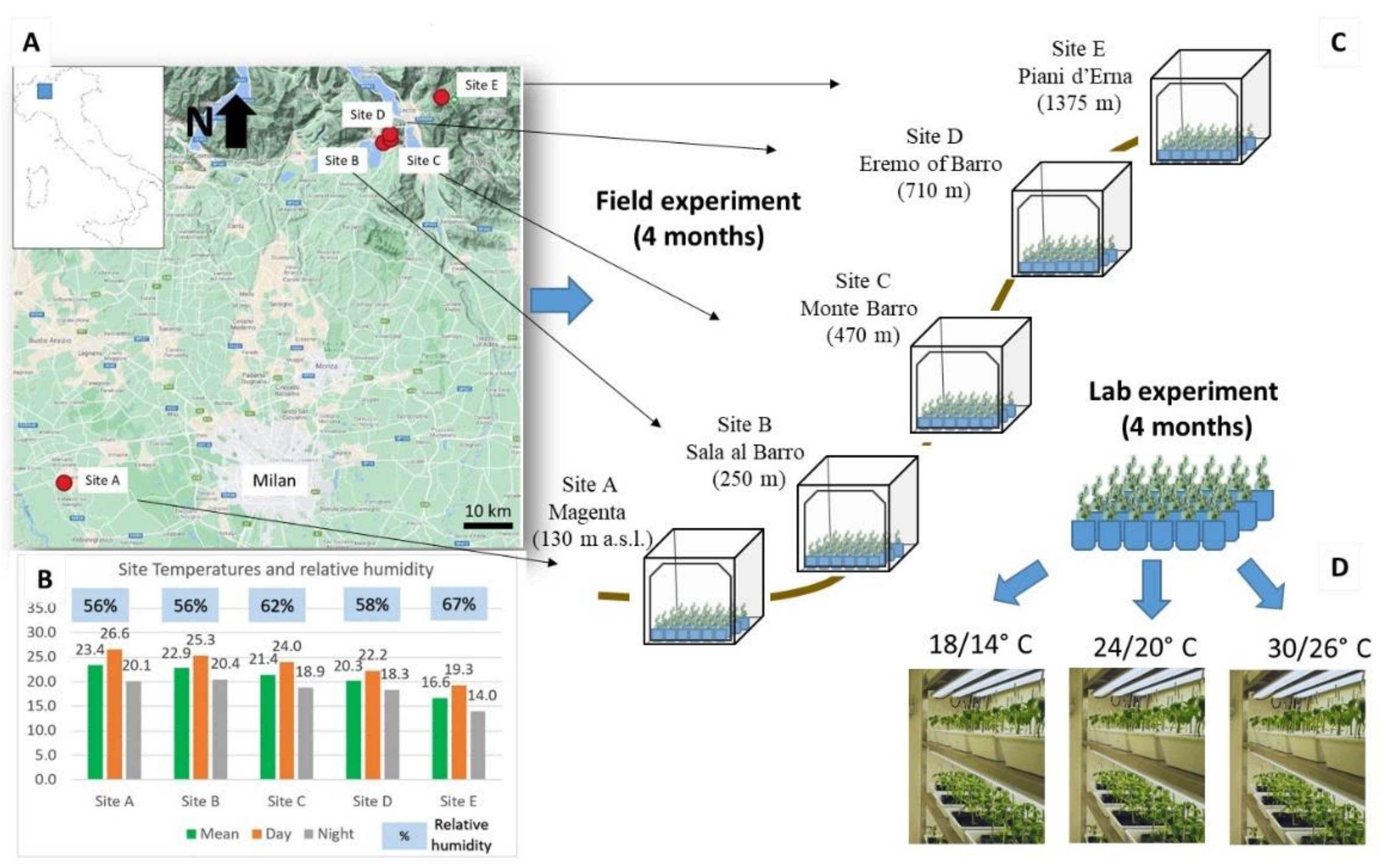 Plants 10 02144 g005