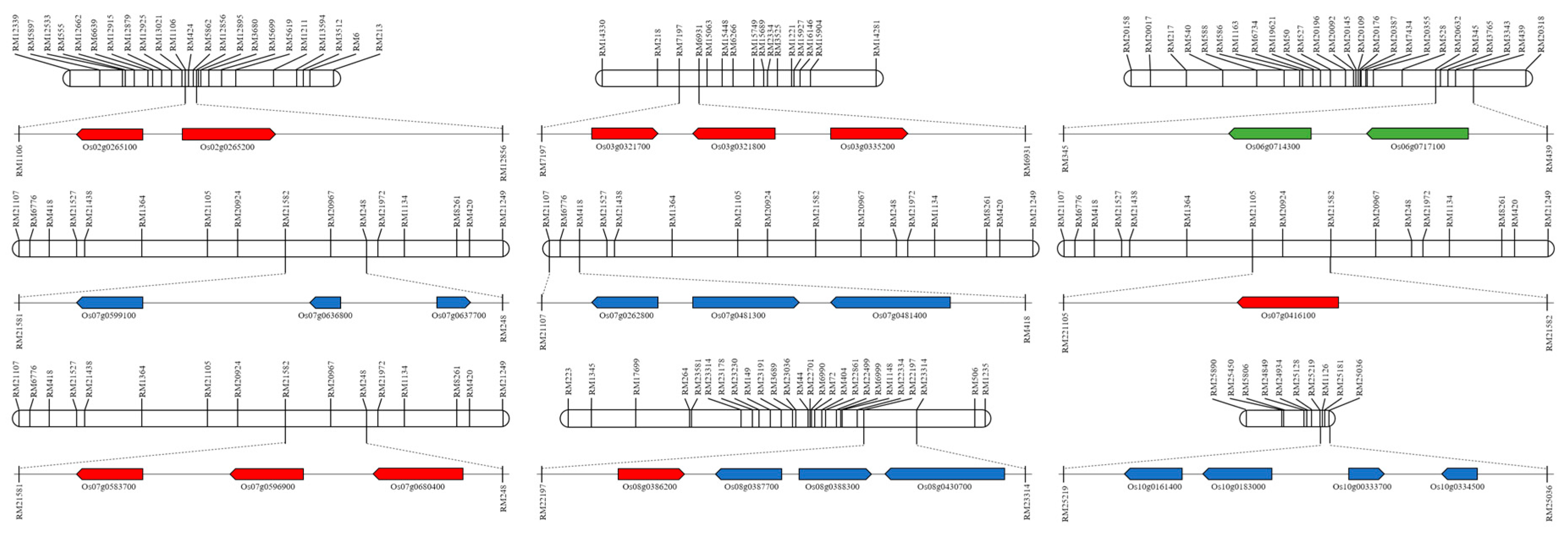 Plants 10 02145 g004