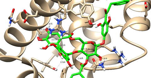 Plants 10 02156 i019