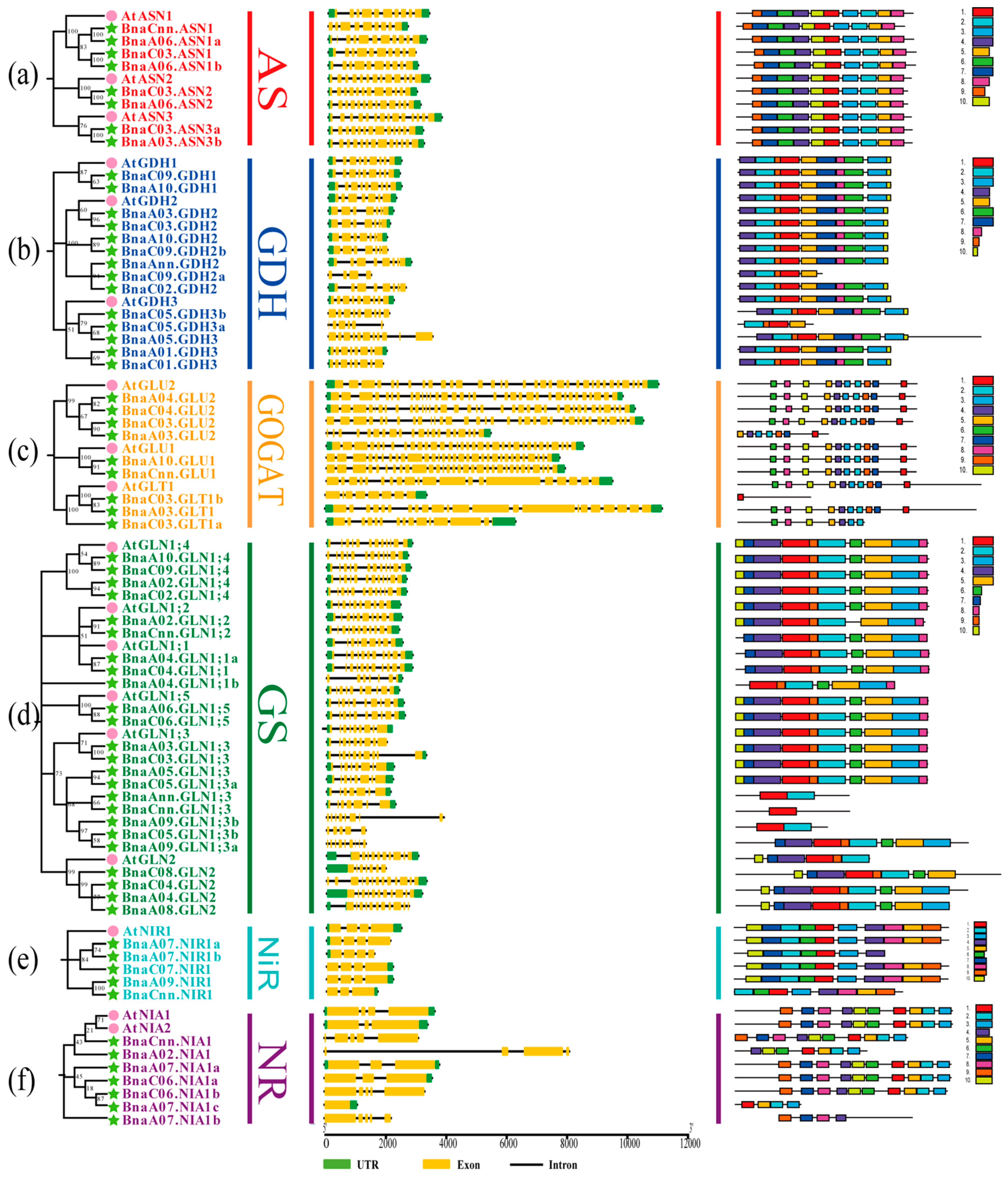 Plants 10 02160 g002 550