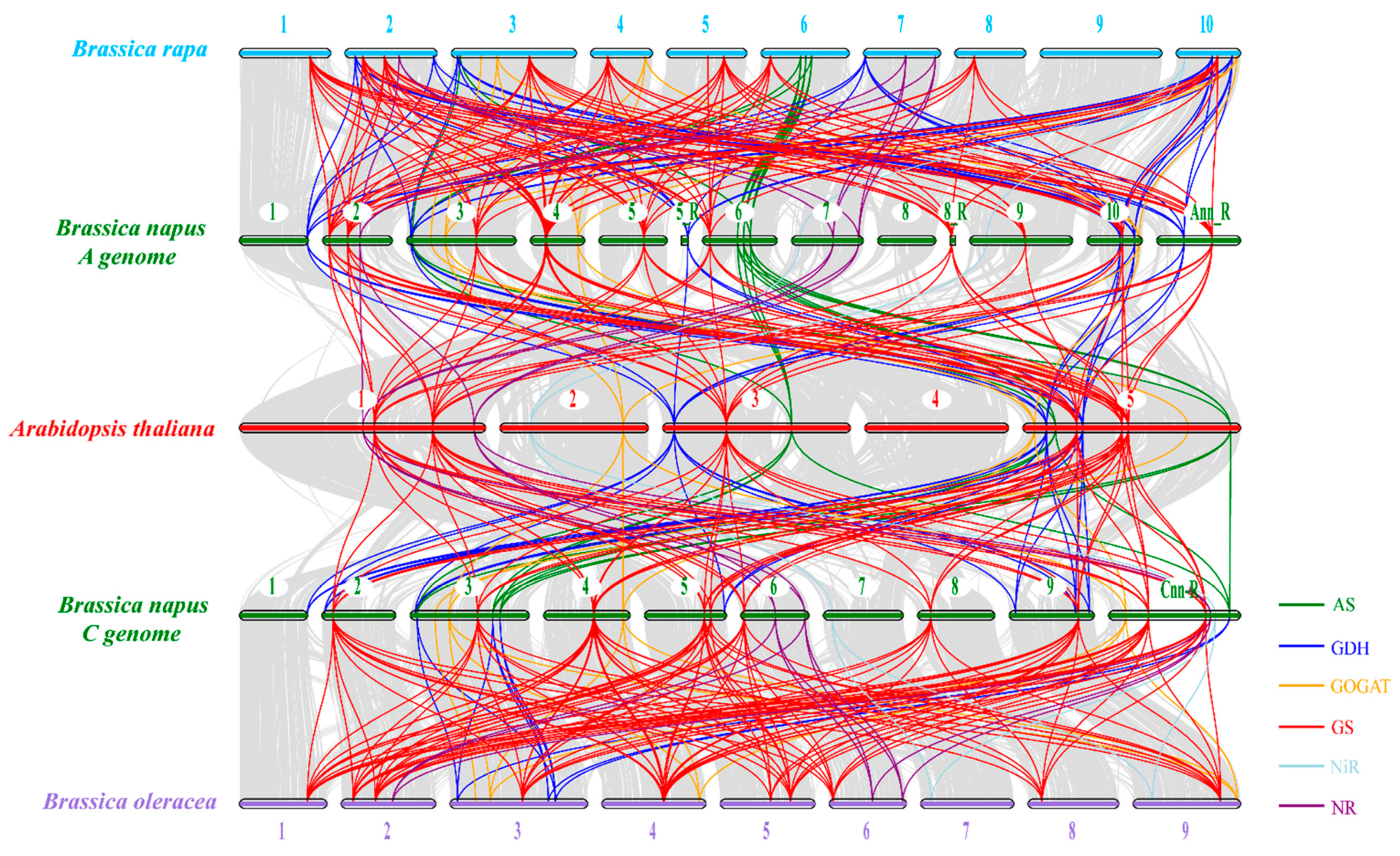 Plants 10 02160 g004 550