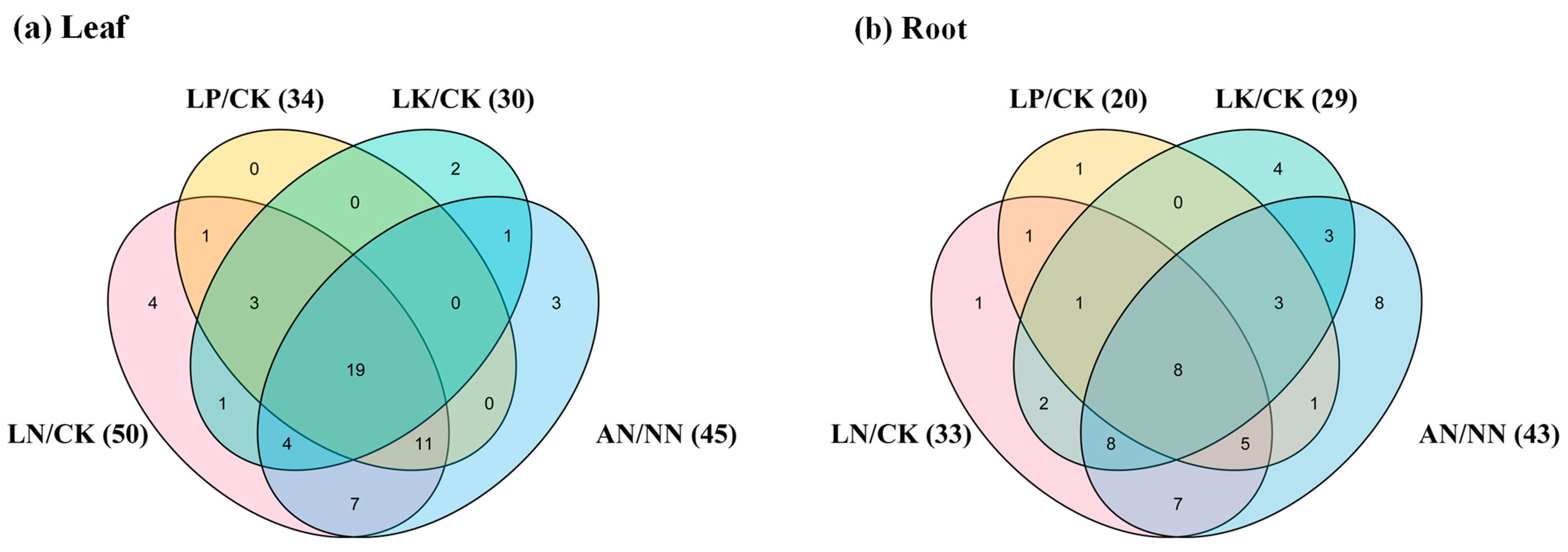 Plants 10 02160 g007 550