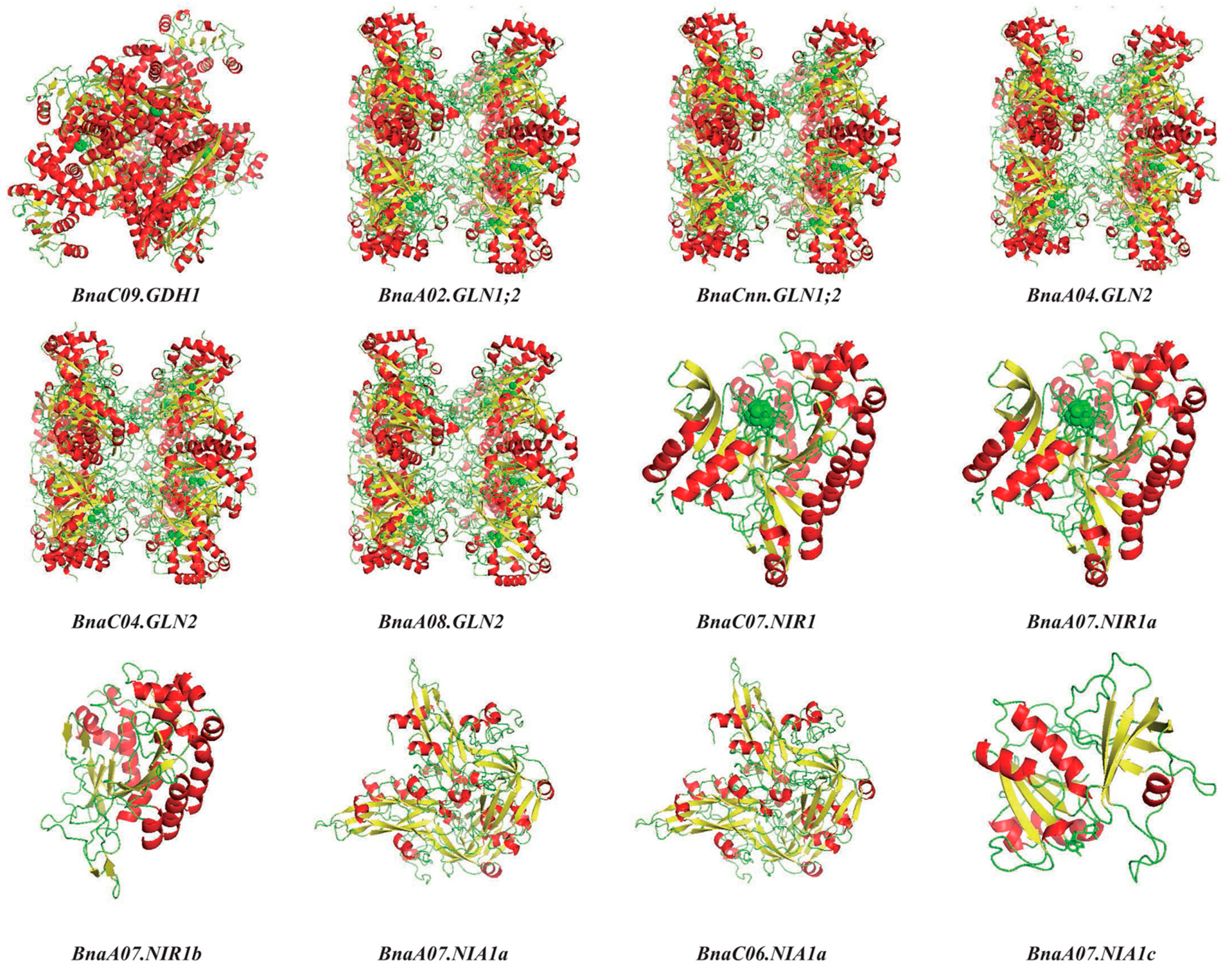 Plants 10 02160 g010 550