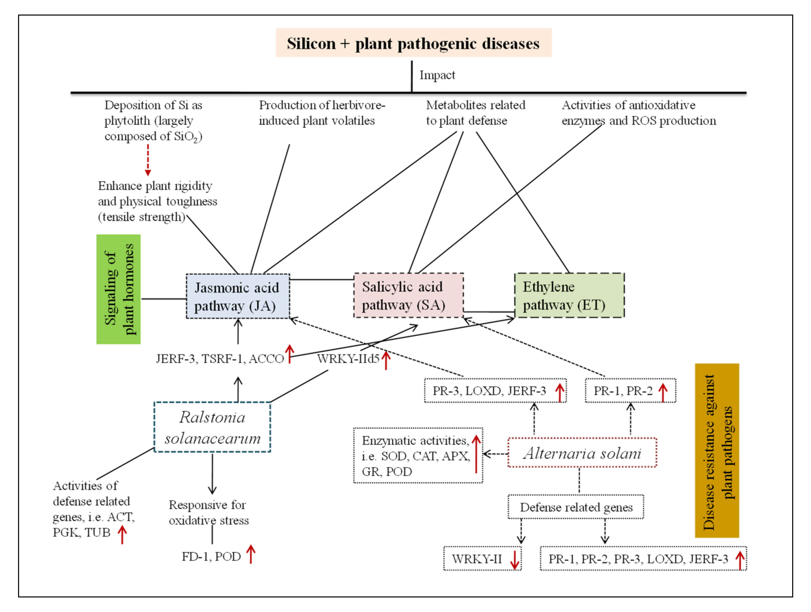 Plants 10 02163 g002 Plants 10 02163 g002
