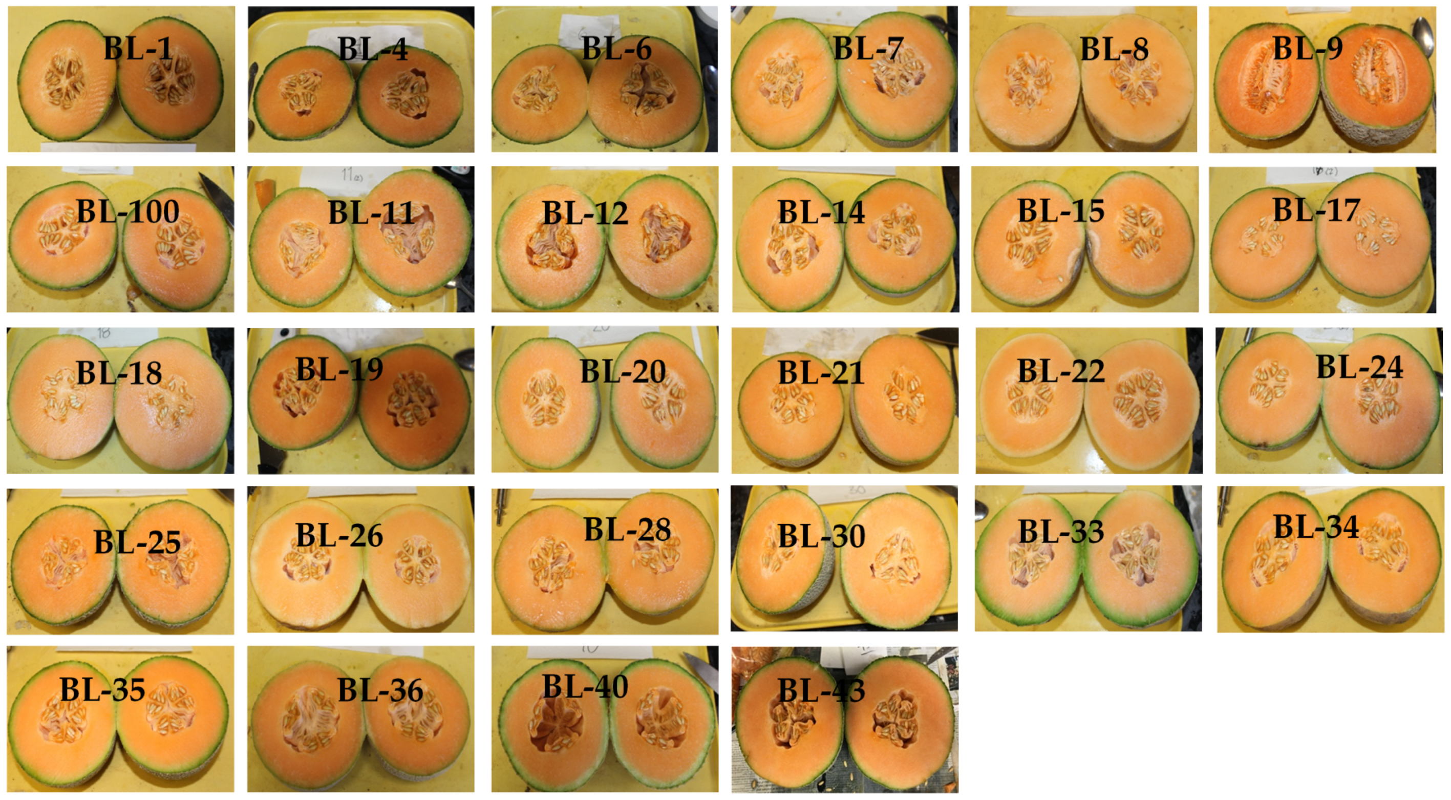 Plants 10 02166 g005