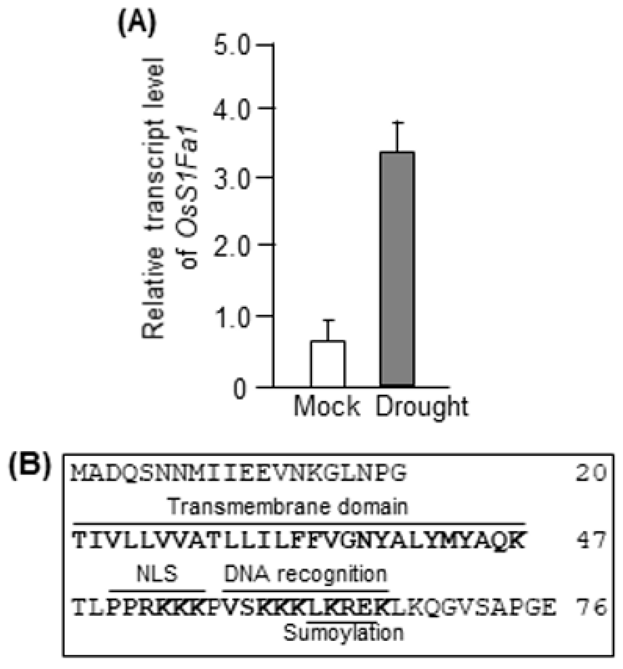 Plants 10 02181 g001 Plants 10 02181 g001