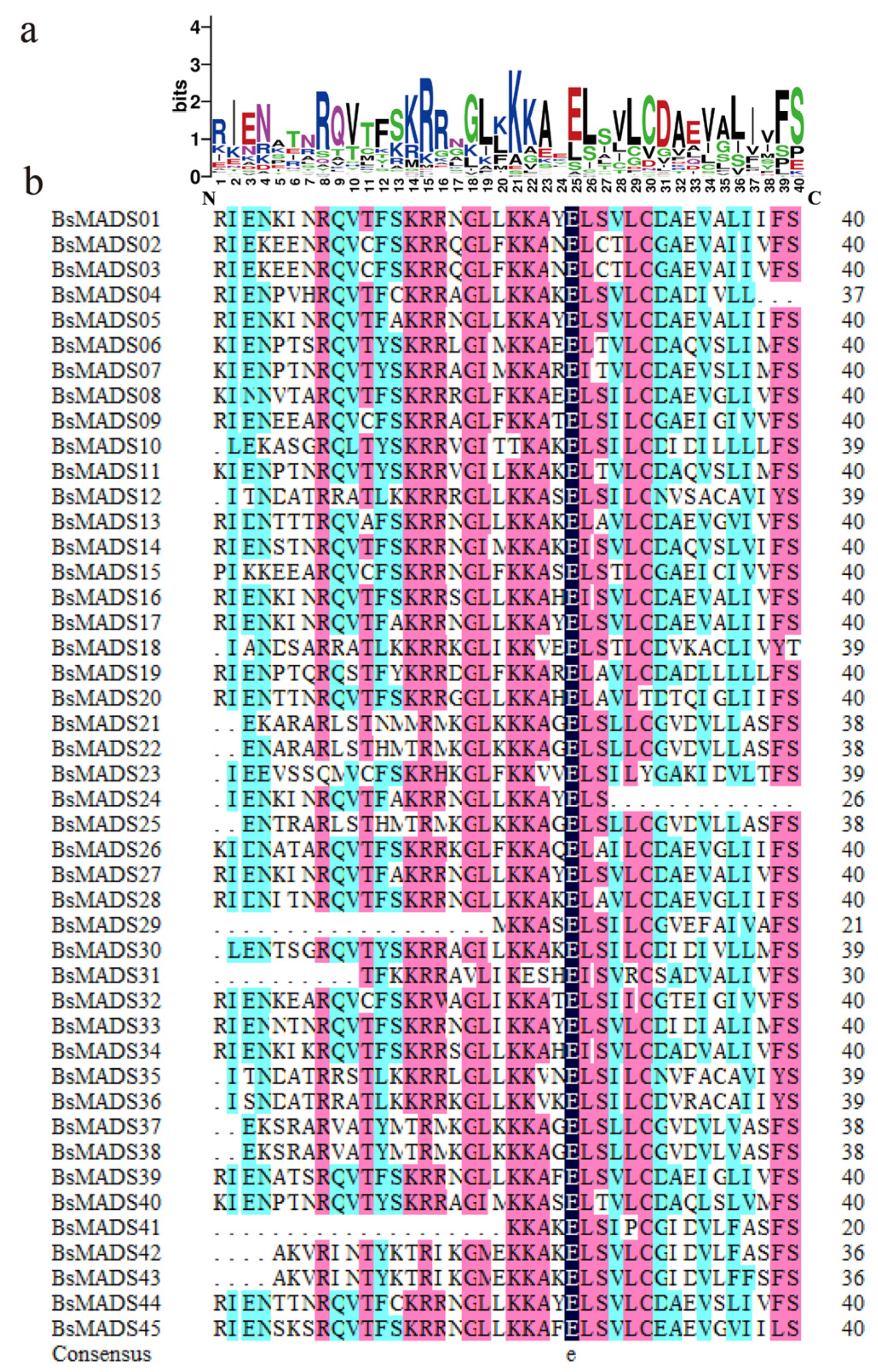 how to identify exon and intron in sequence bioedit how to identify exon and intron in sequence bioedit