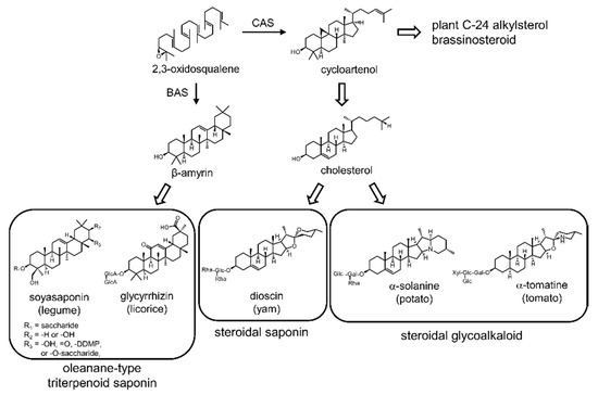 ハラ A critical appraisal of amyloid-β-targeting therapies for