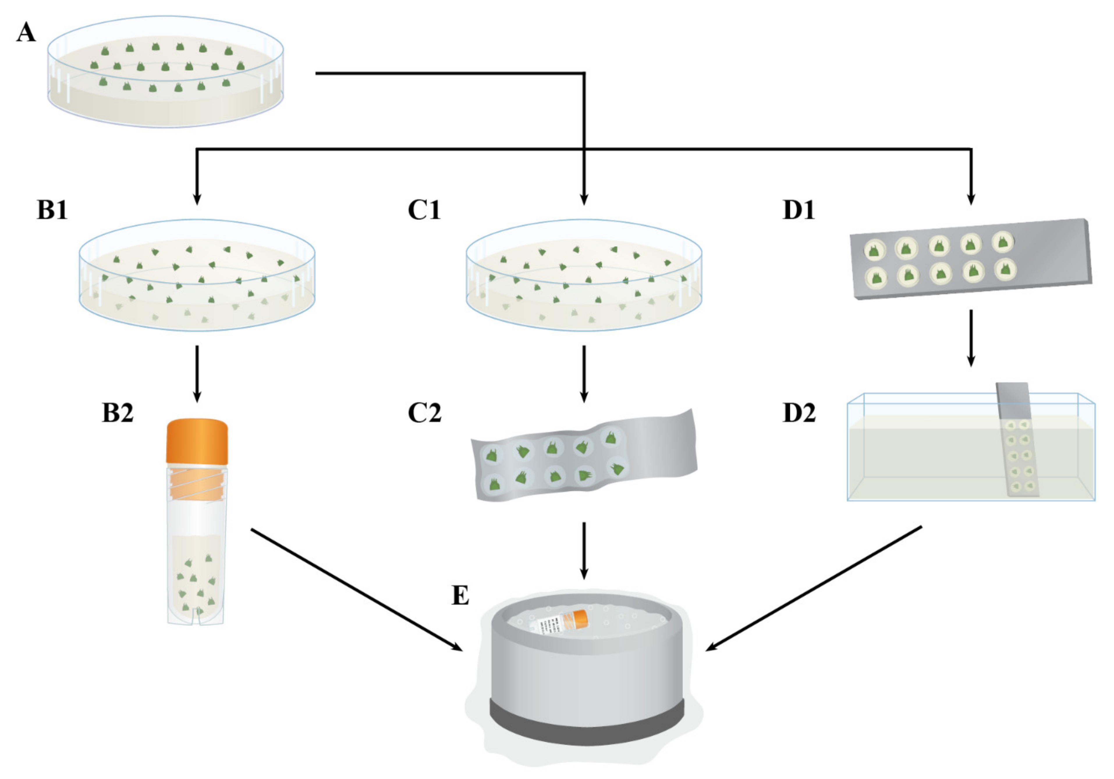 Plants 10 02190 g002 Plants 10 02190 g002