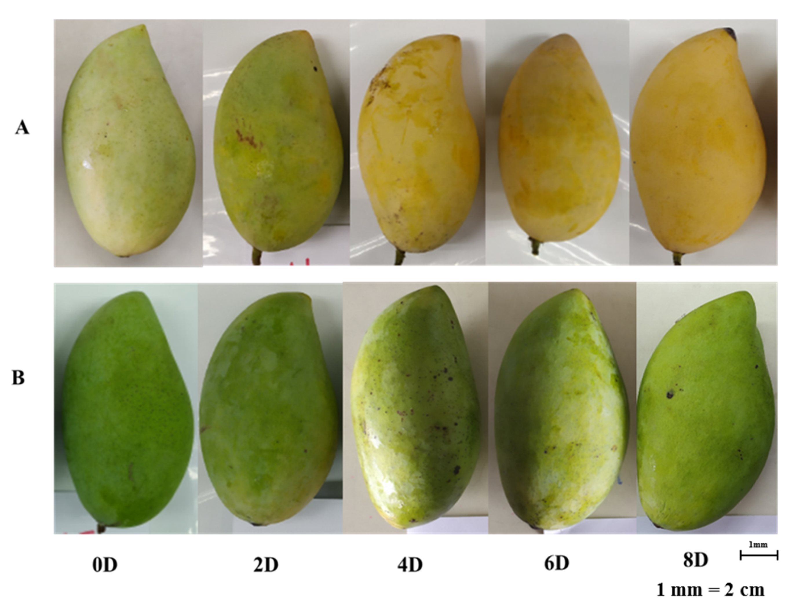 Plants 10 02198 g001 550