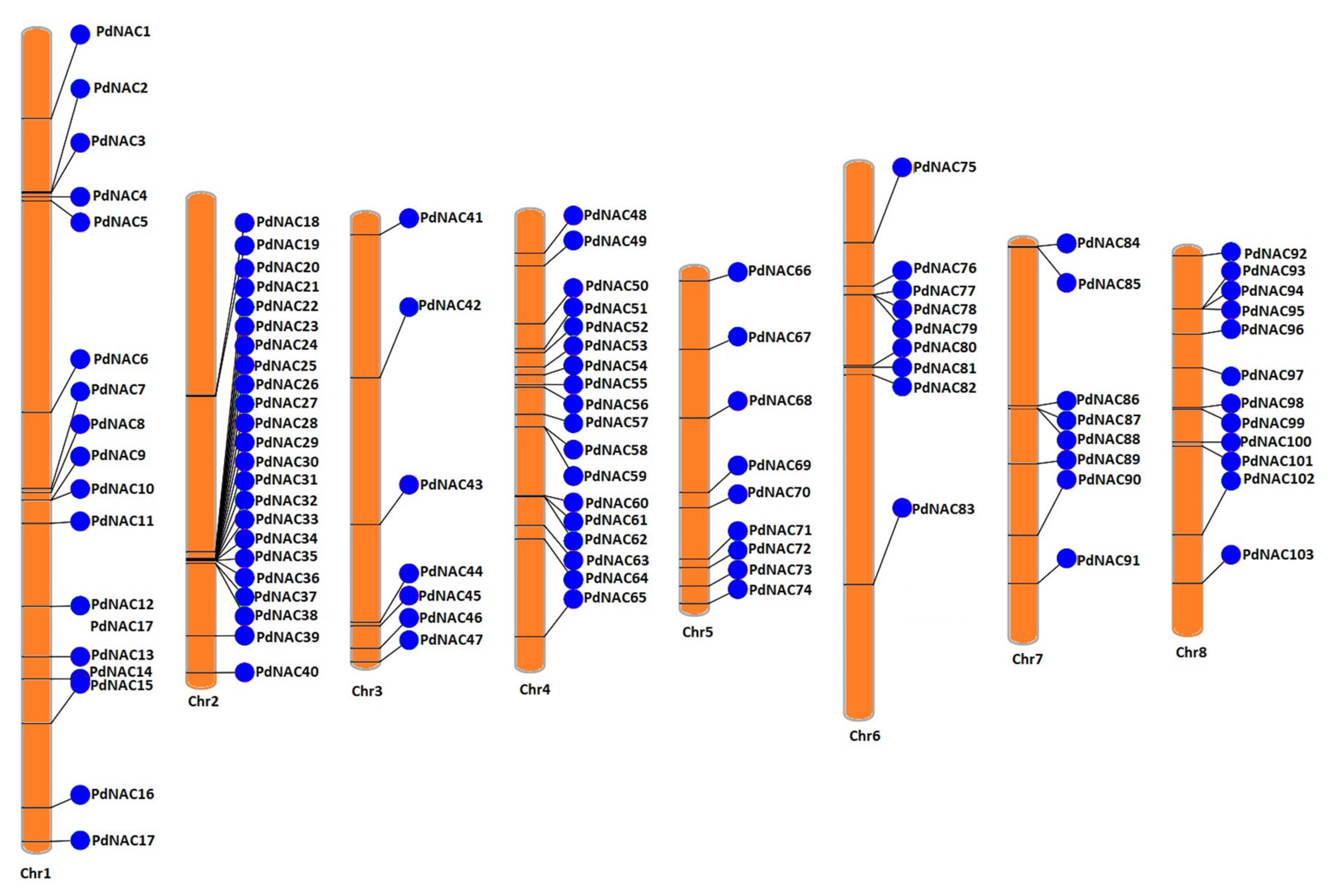 Plants 10 02200 g001