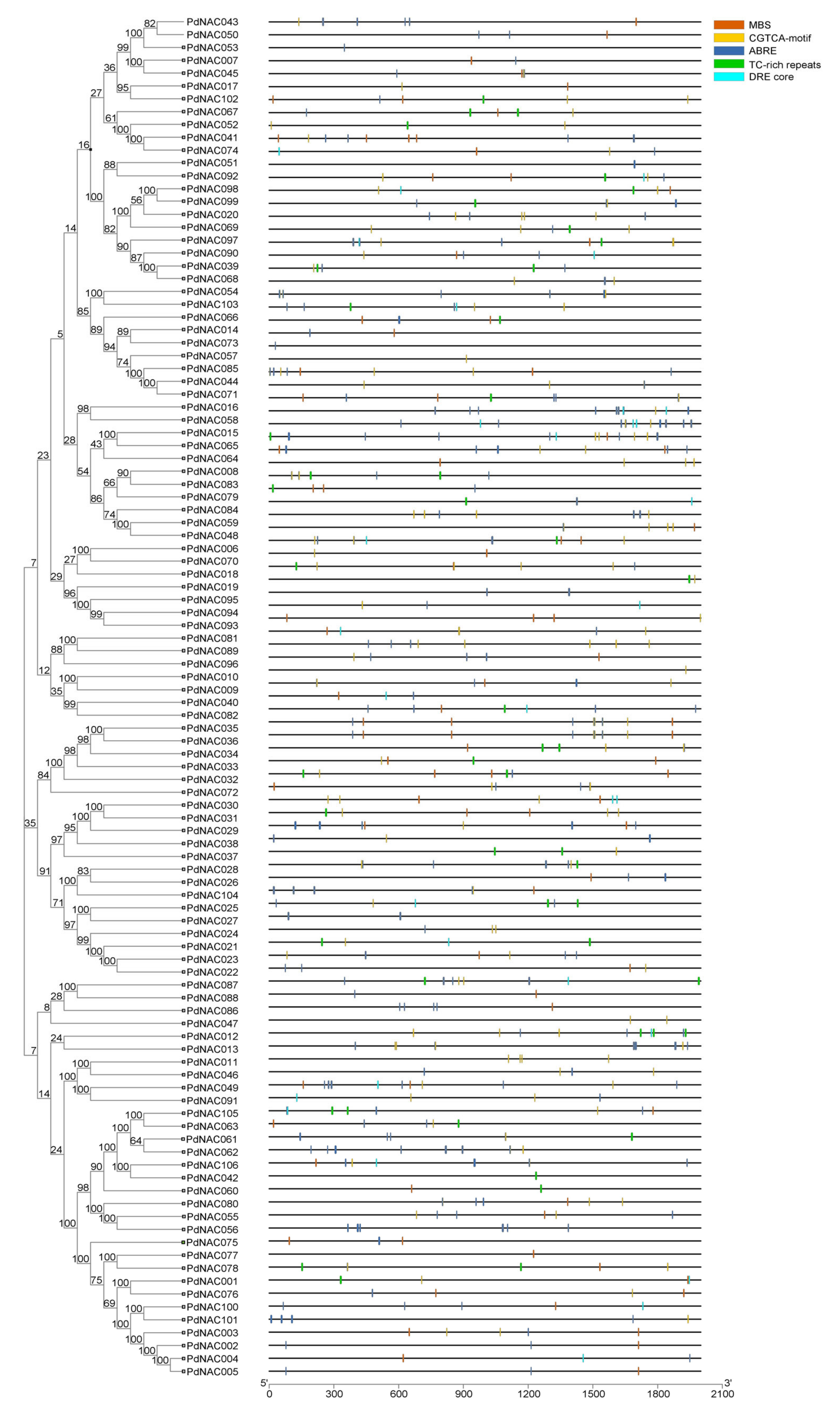 Plants 10 02200 g002