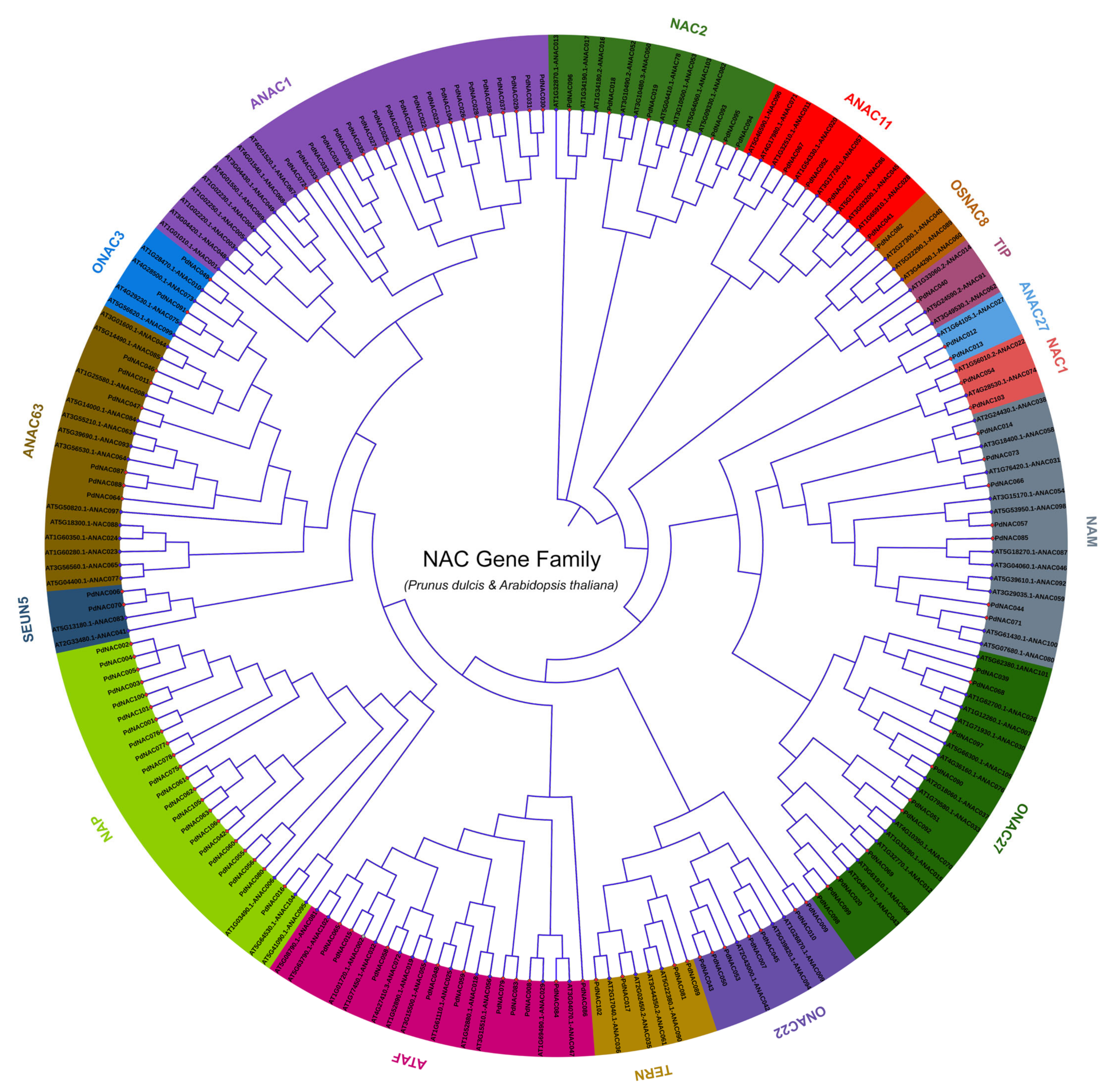 Plants 10 02200 g003