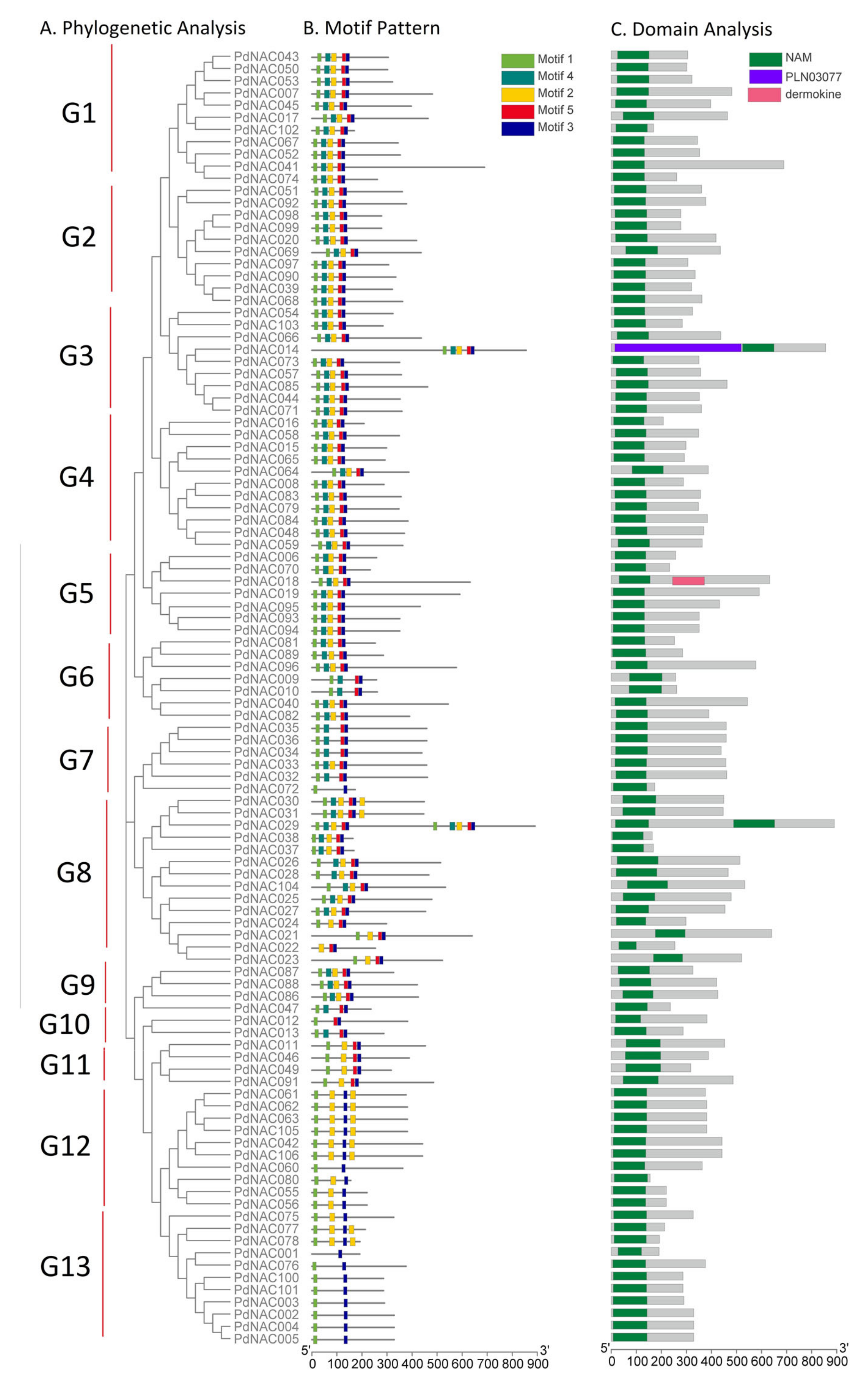 Plants 10 02200 g004