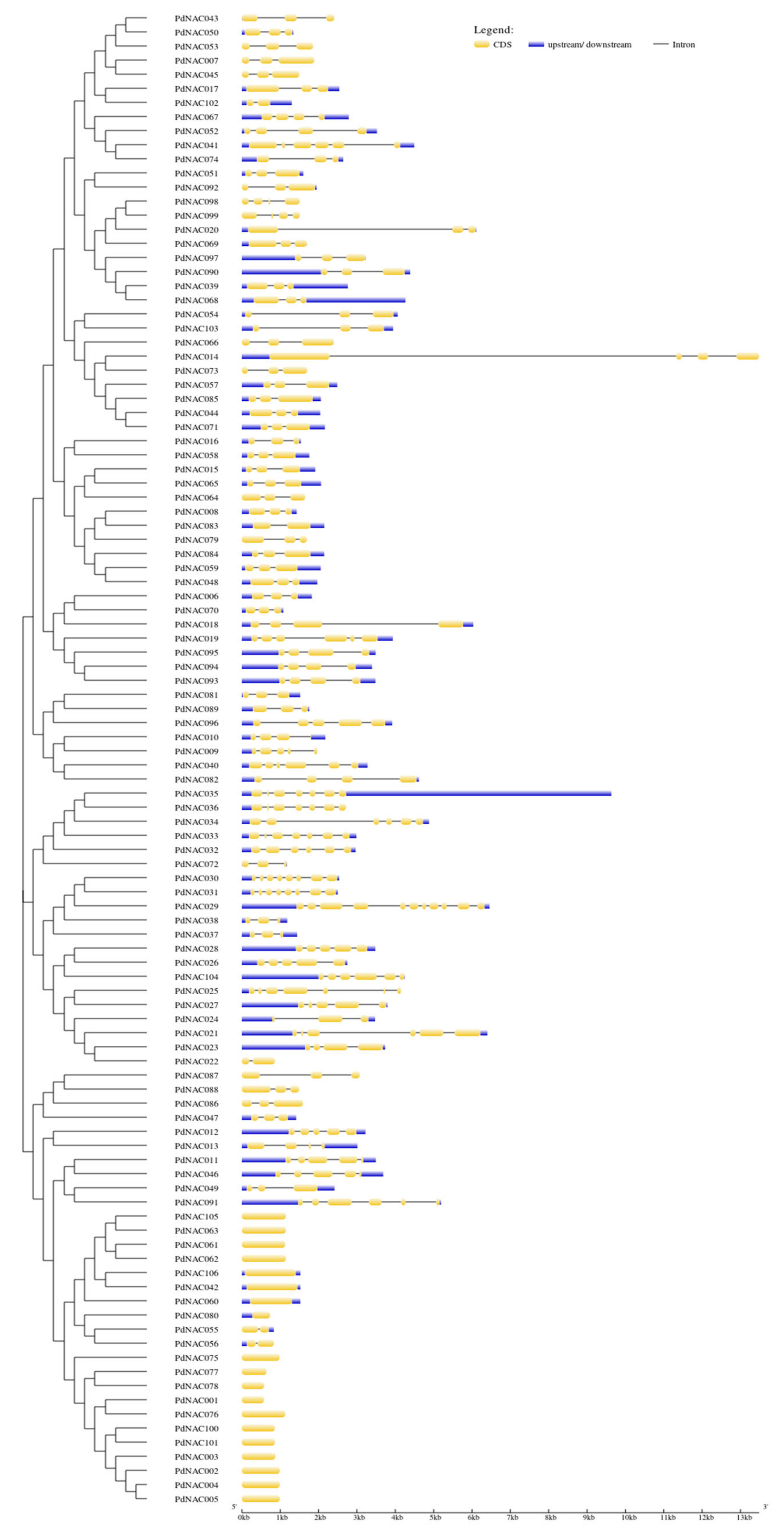 Plants 10 02200 g005