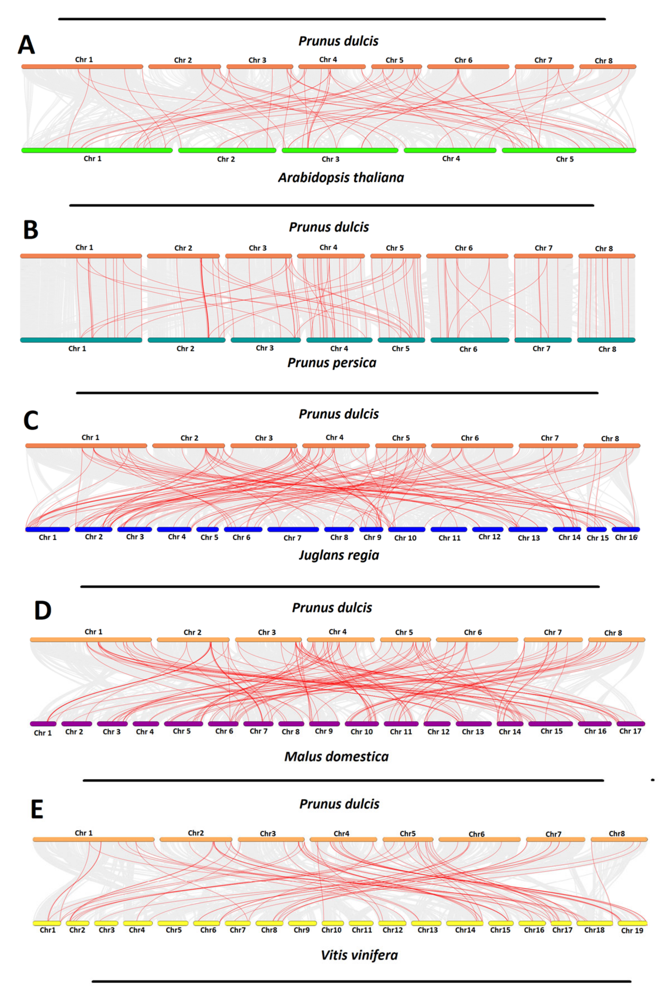 Plants 10 02200 g007