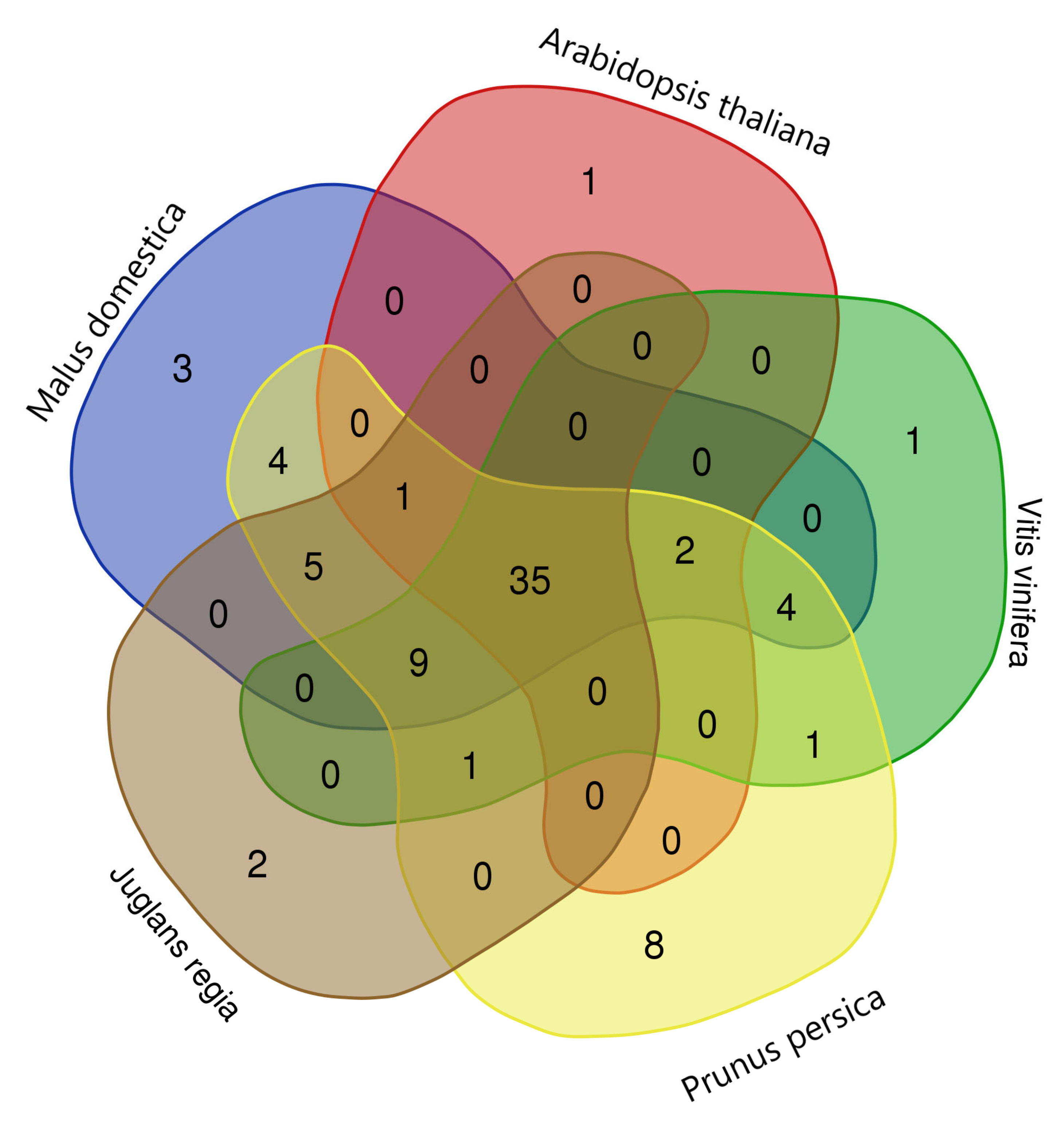 Plants 10 02200 g008
